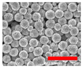 Nanomaterials 13 00587 i001