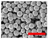 Nanomaterials 13 00587 i002