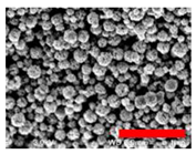 Nanomaterials 13 00587 i003