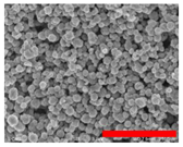 Nanomaterials 13 00587 i004
