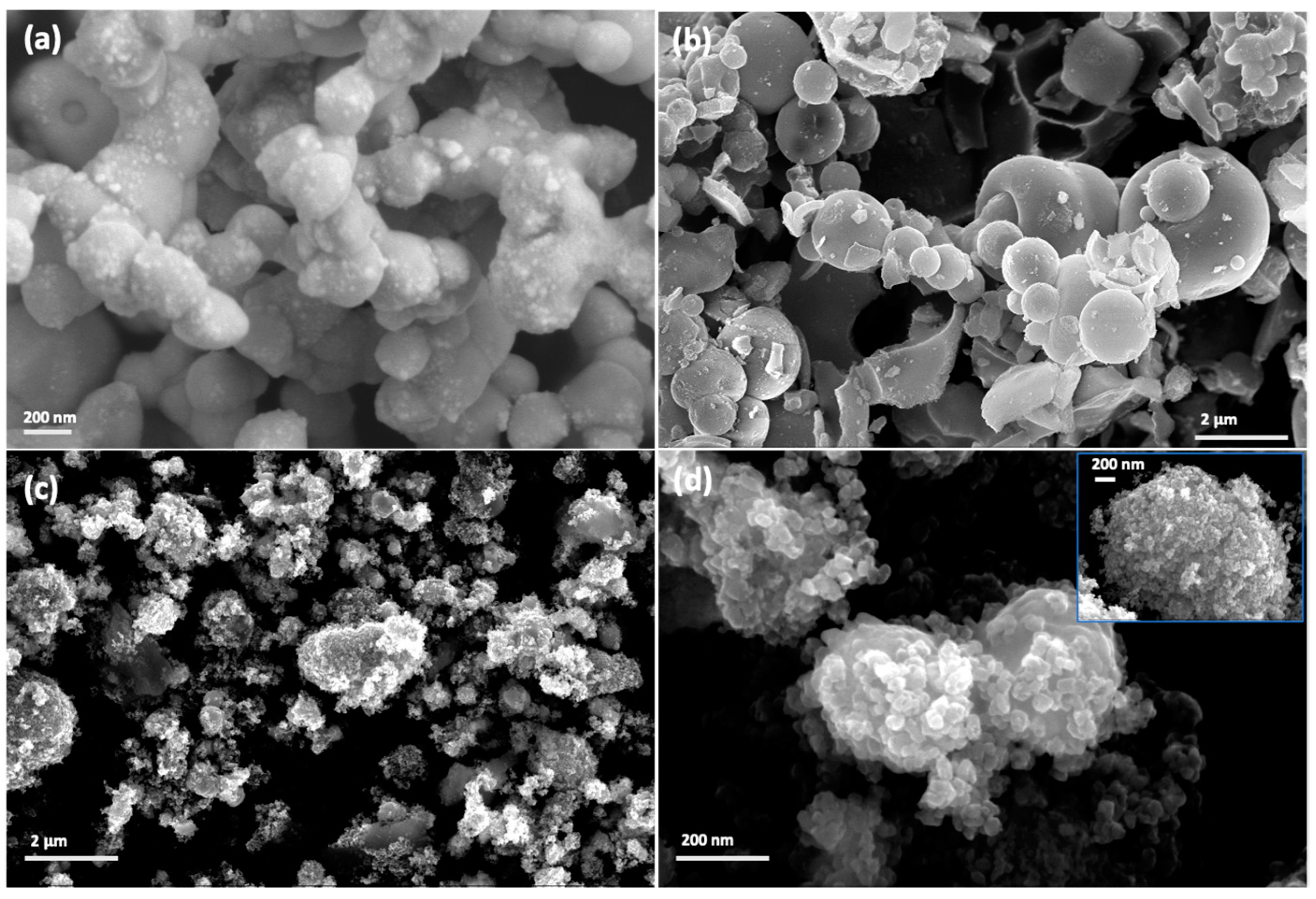 Nanomaterials 13 00588 g002
