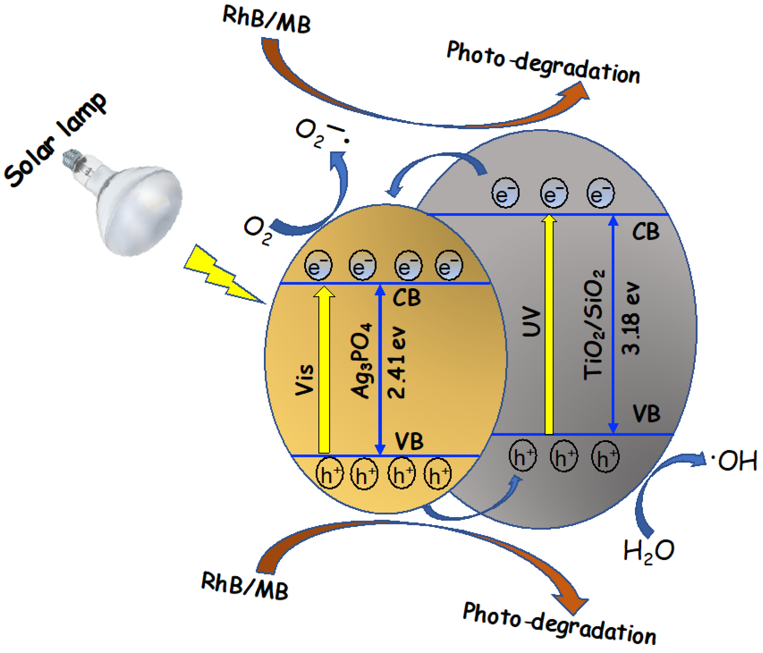Nanomaterials 13 00588 g006