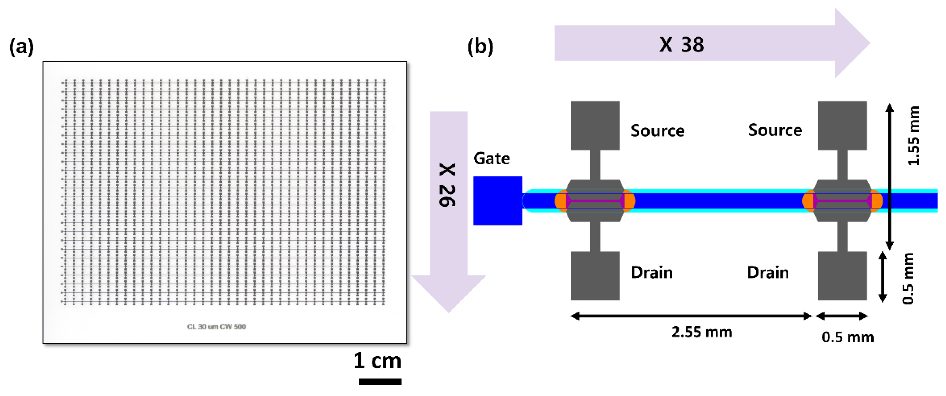Nanomaterials 13 00590 g001
