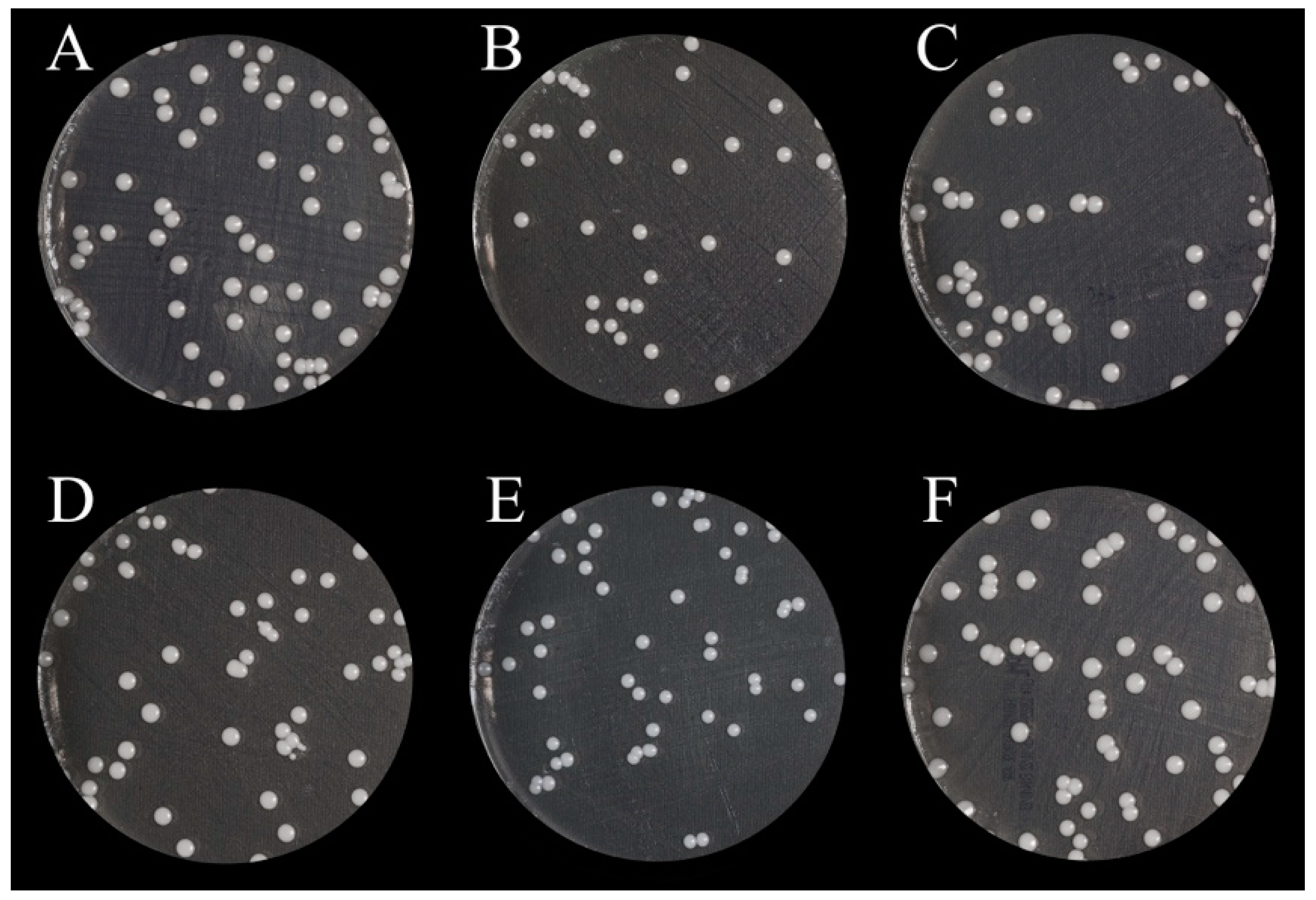 Nanomaterials 13 00591 g003
