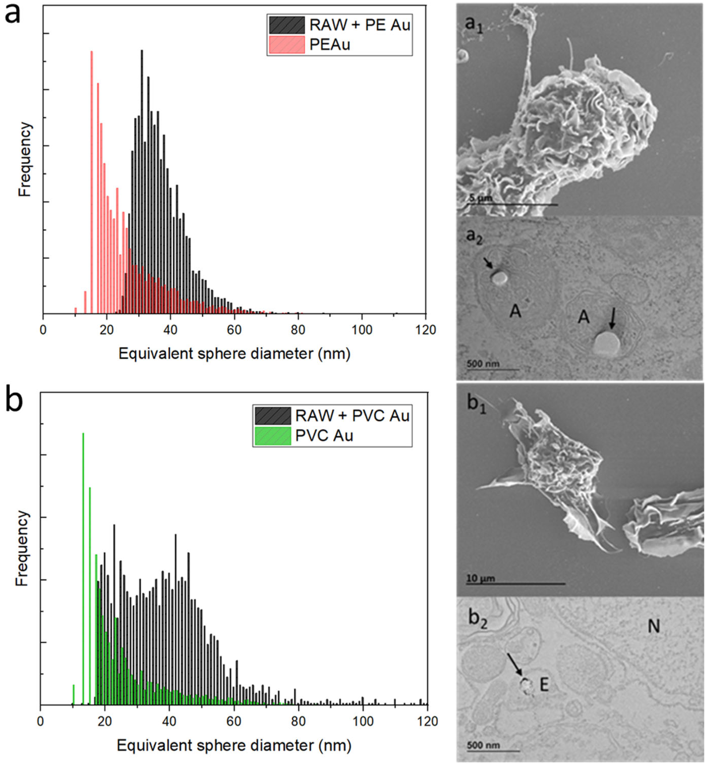 Nanomaterials 13 00594 g003