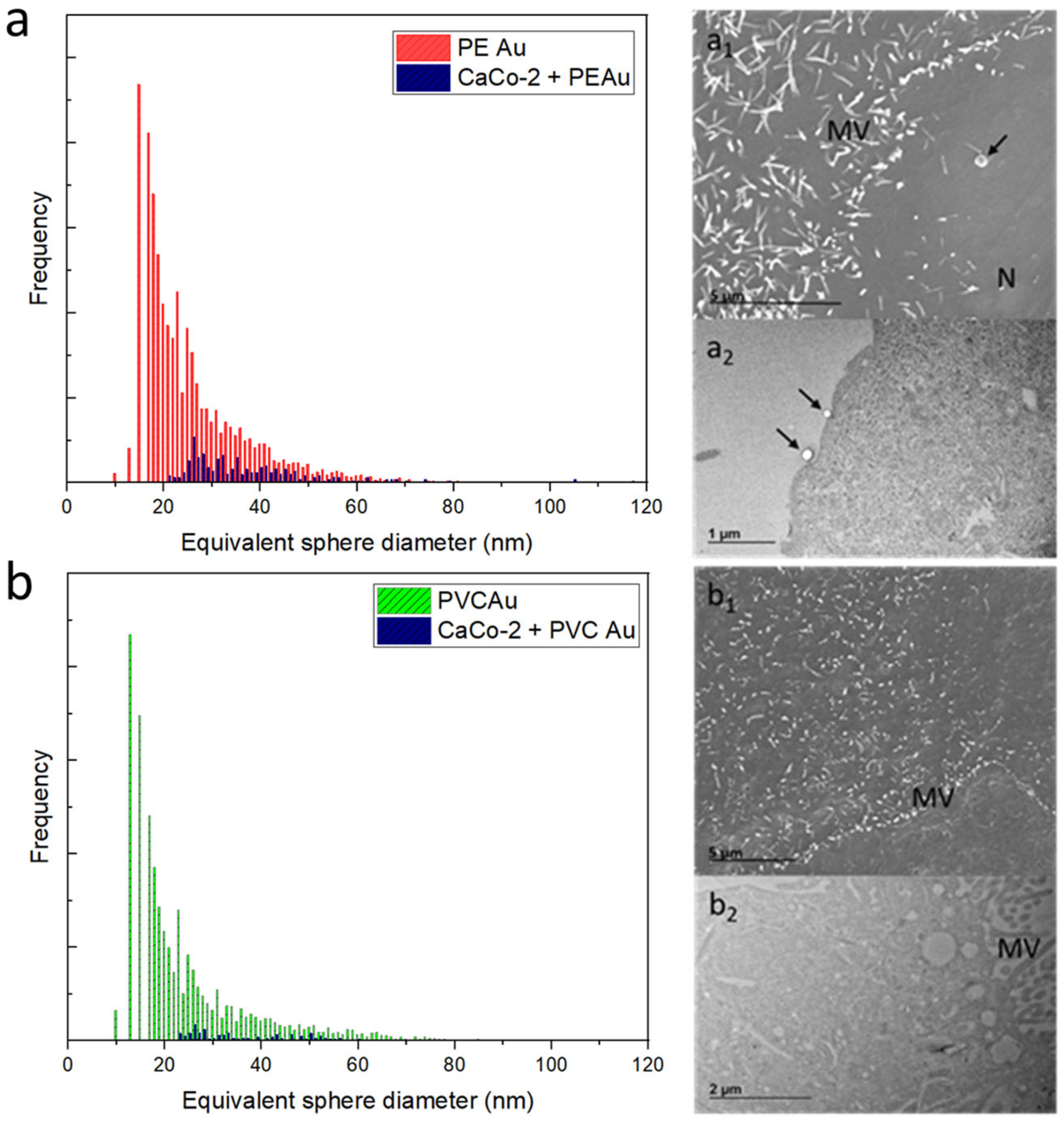Nanomaterials 13 00594 g004