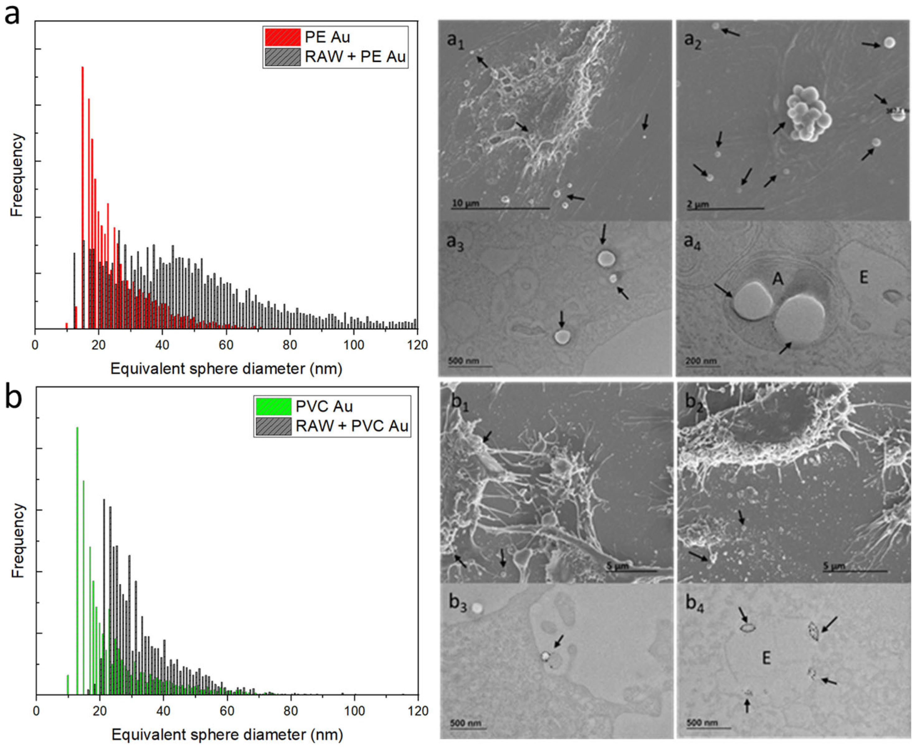Nanomaterials 13 00594 g005
