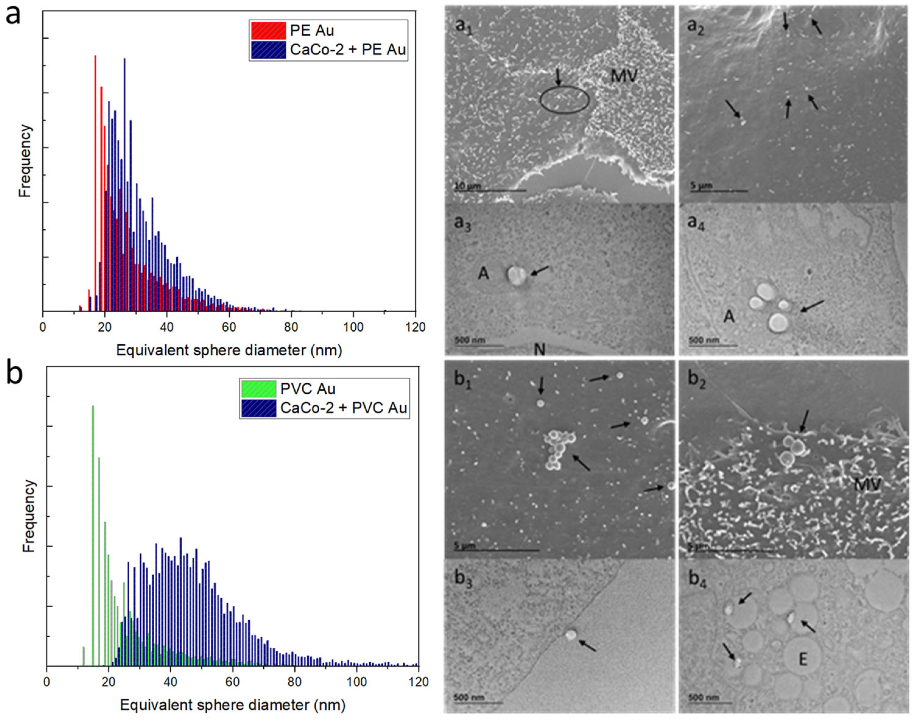 Nanomaterials 13 00594 g006