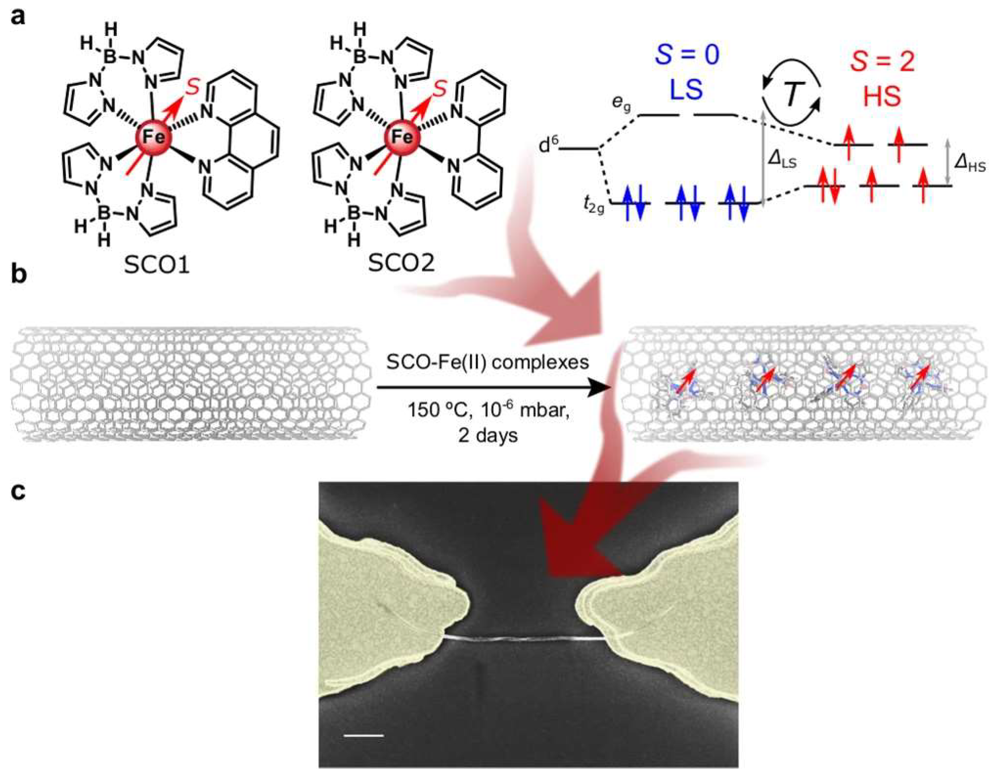 Nanomaterials 13 00598 g005