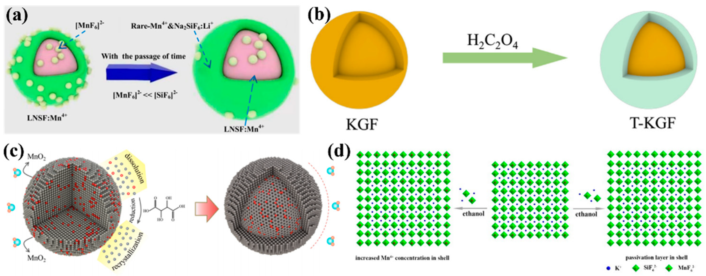 Nanomaterials 13 00599 g003