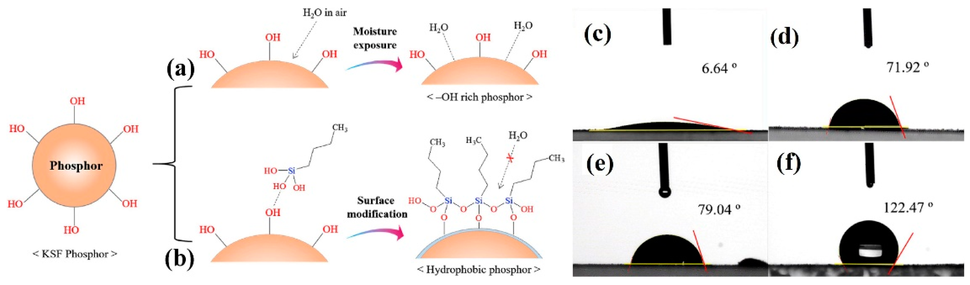 Nanomaterials 13 00599 g008