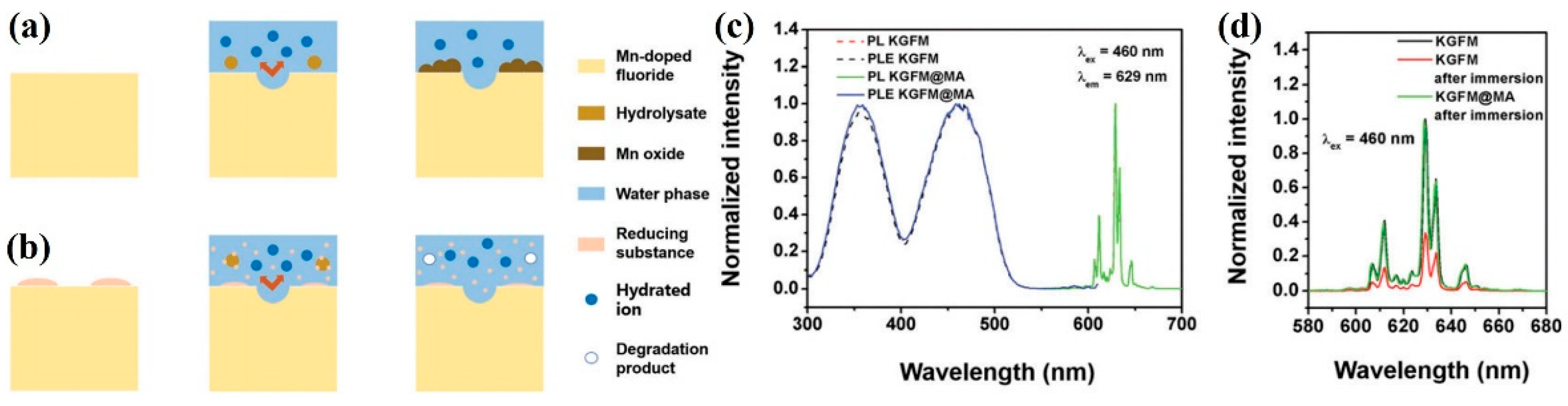 Nanomaterials 13 00599 g012