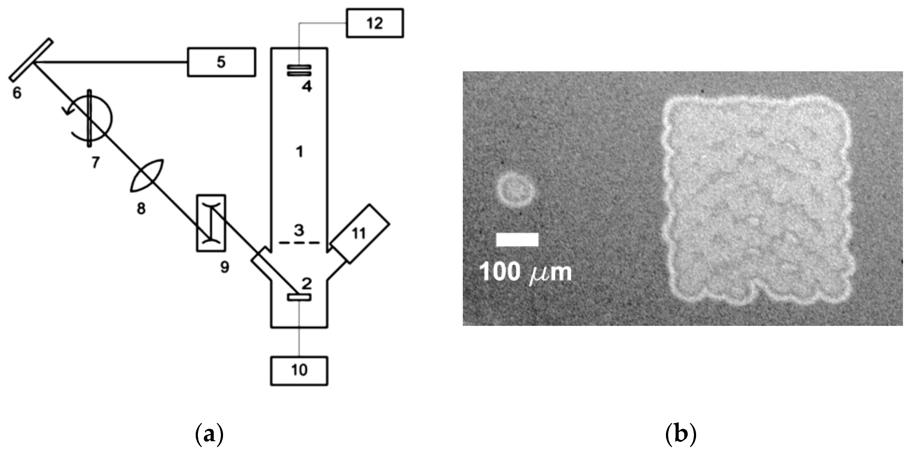 Nanomaterials 13 00600 g001 Nanomaterials 13 00600 g001