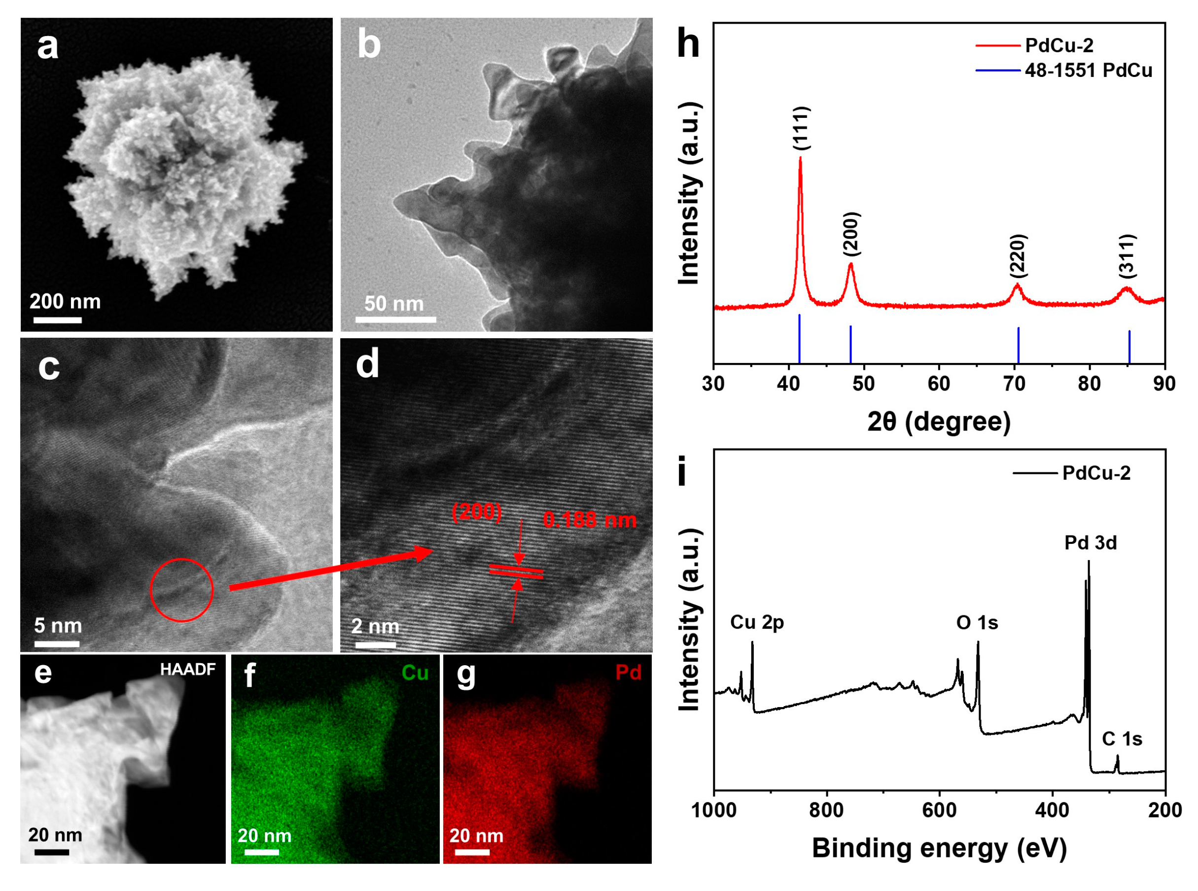 Nanomaterials 13 00603 g001