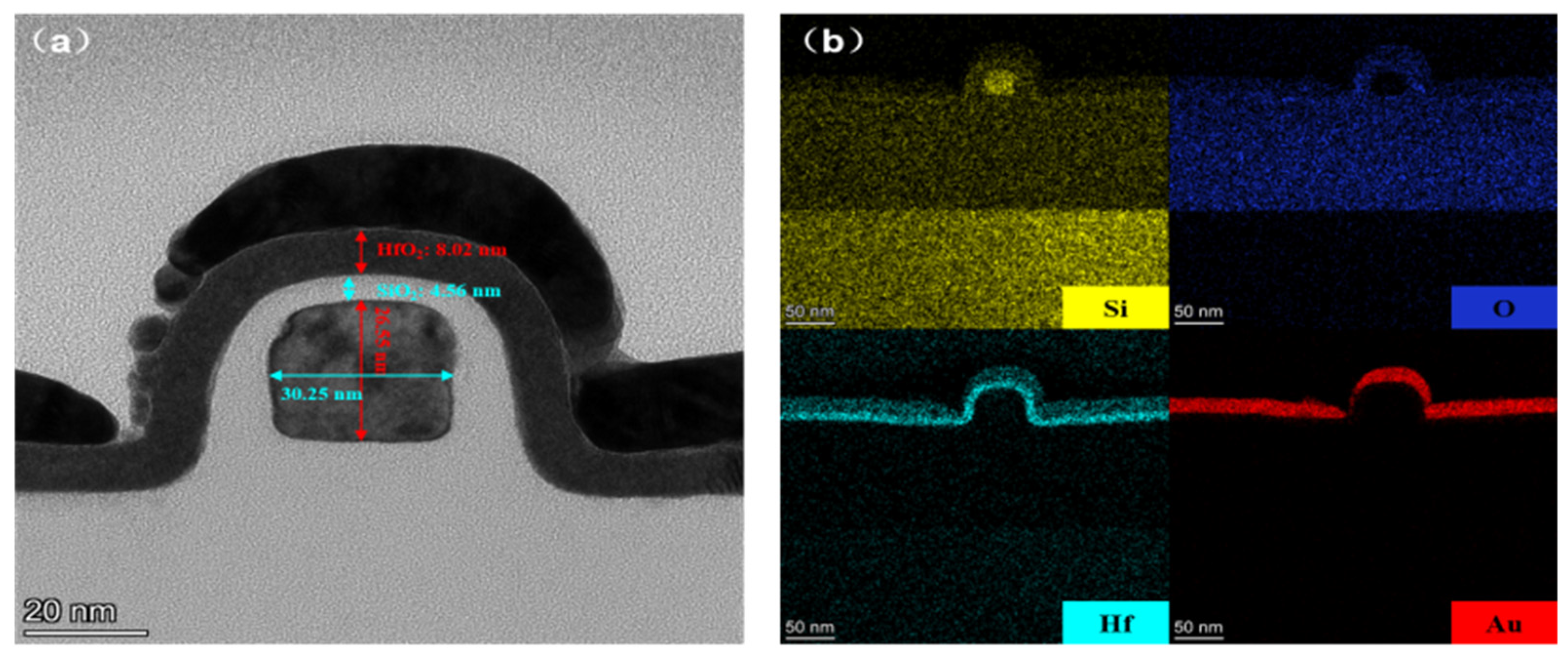 Nanomaterials 13 00604 g001