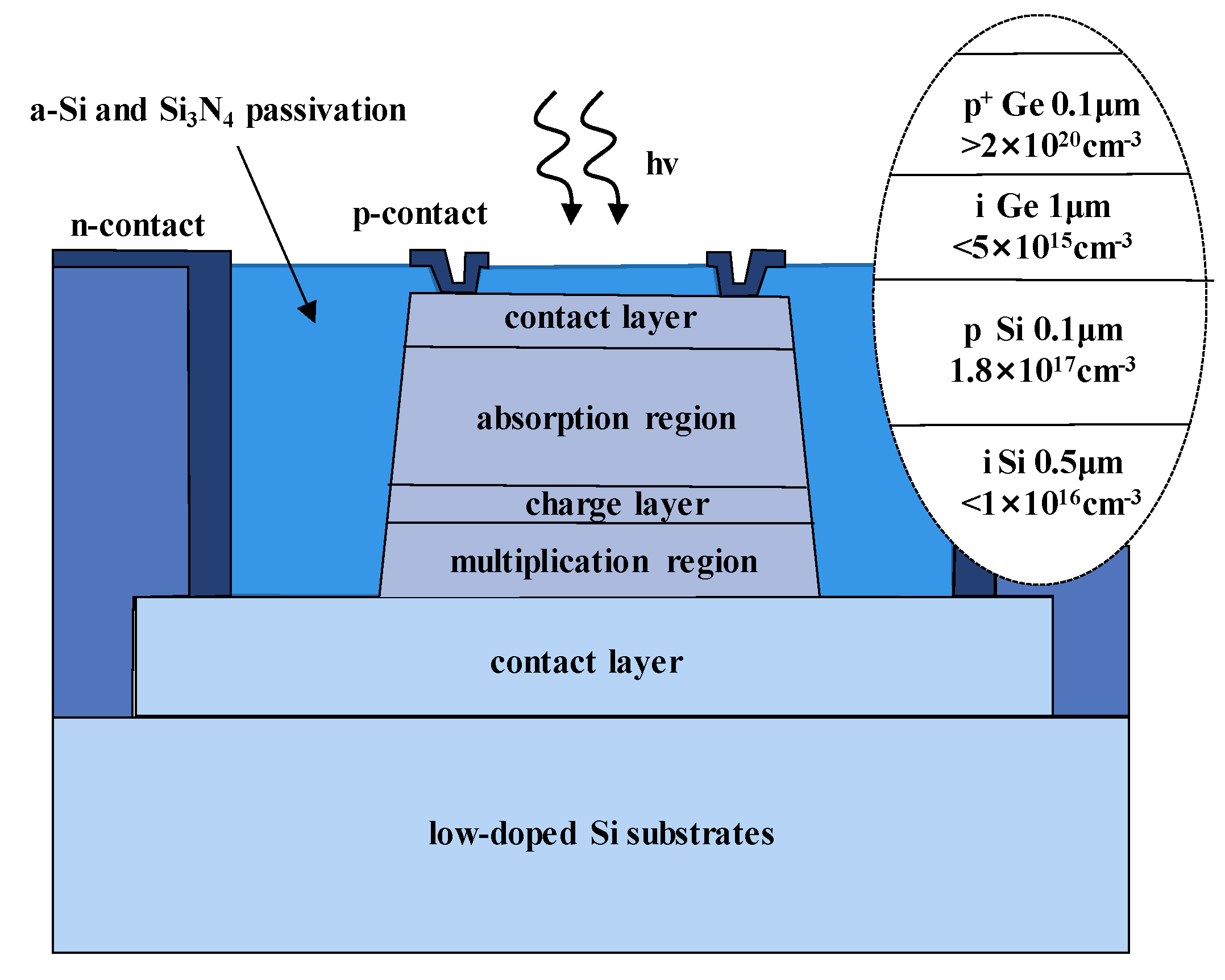 Nanomaterials 13 00606 g011