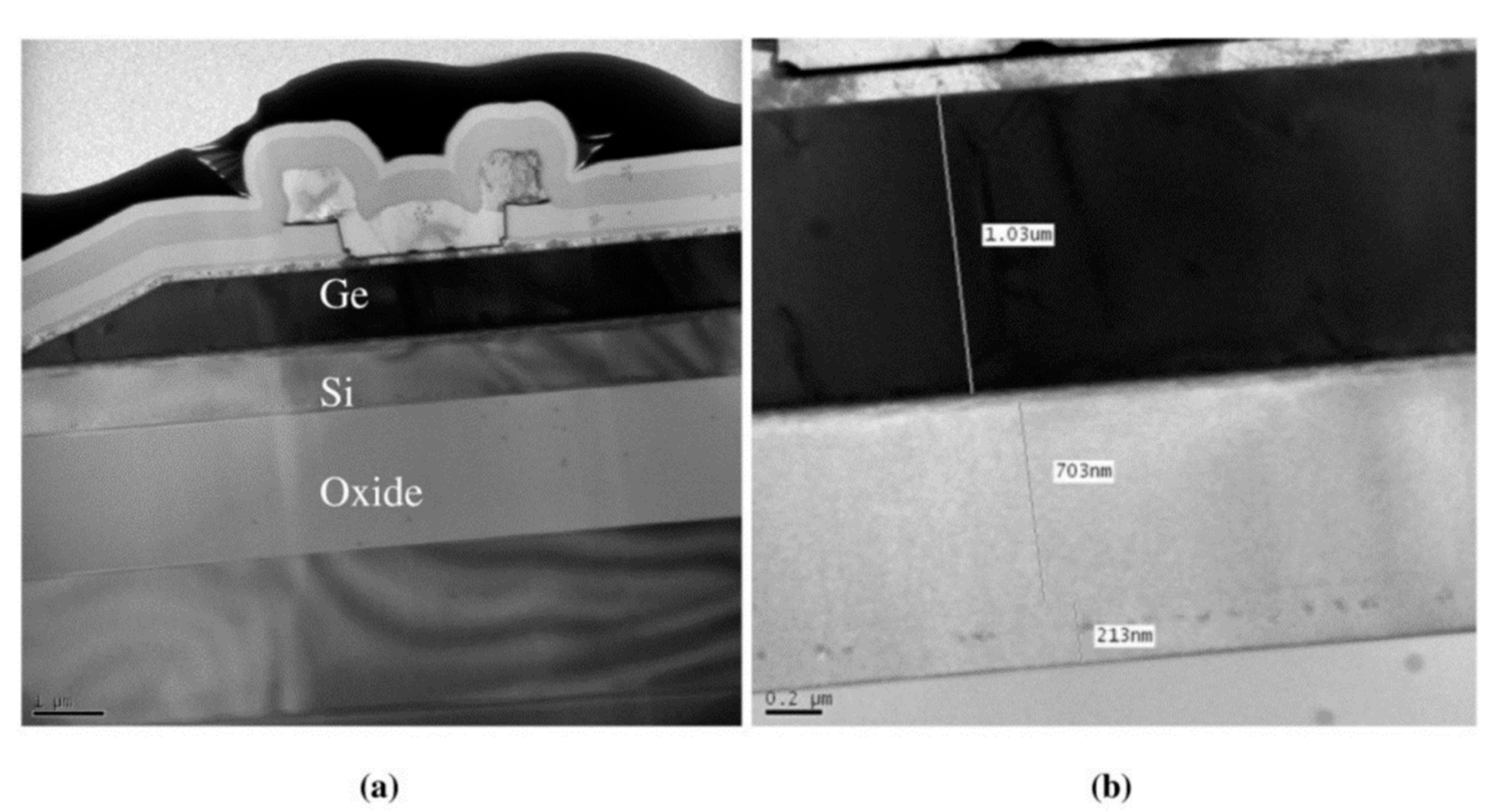 Nanomaterials 13 00606 g014