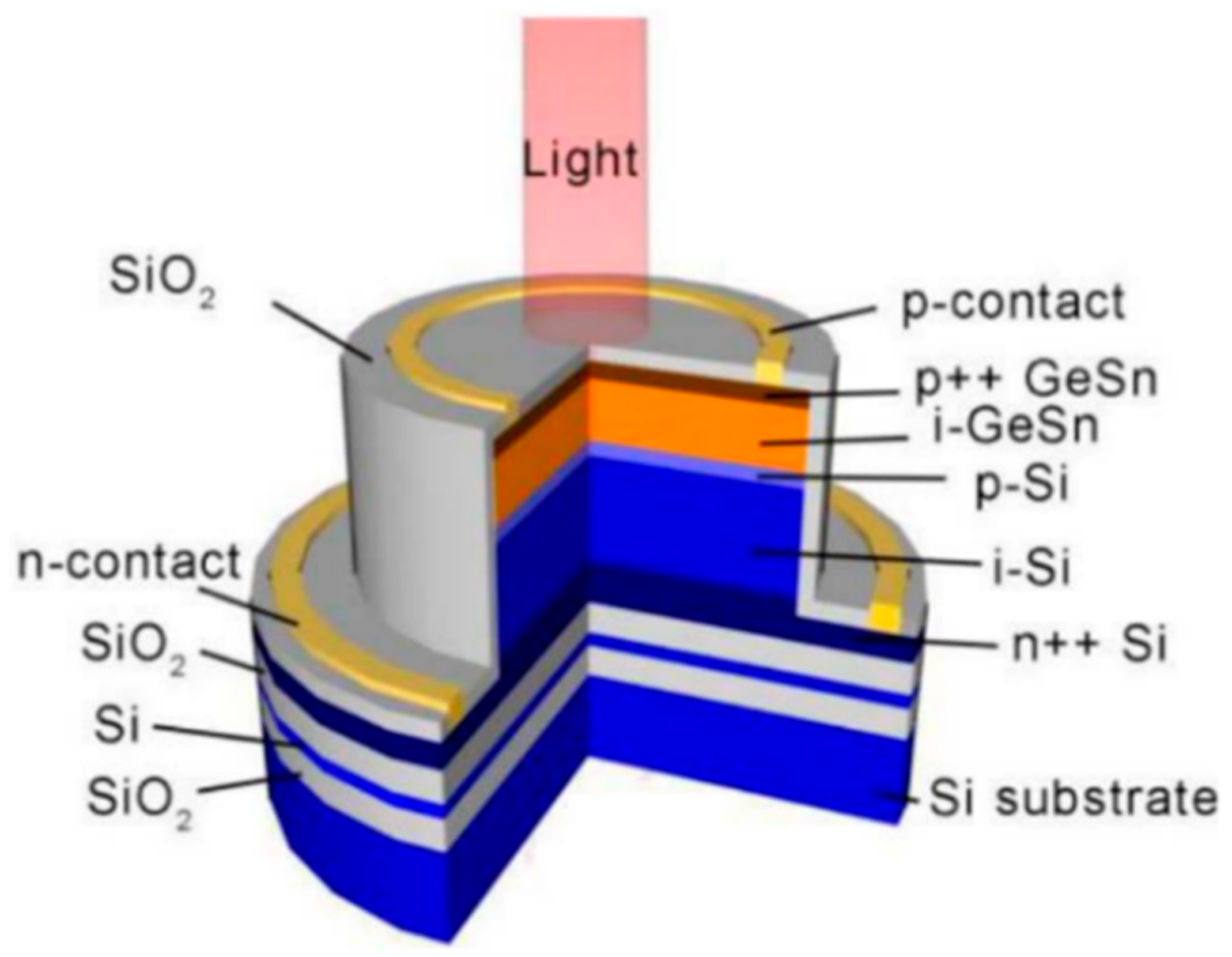 Nanomaterials 13 00606 g019