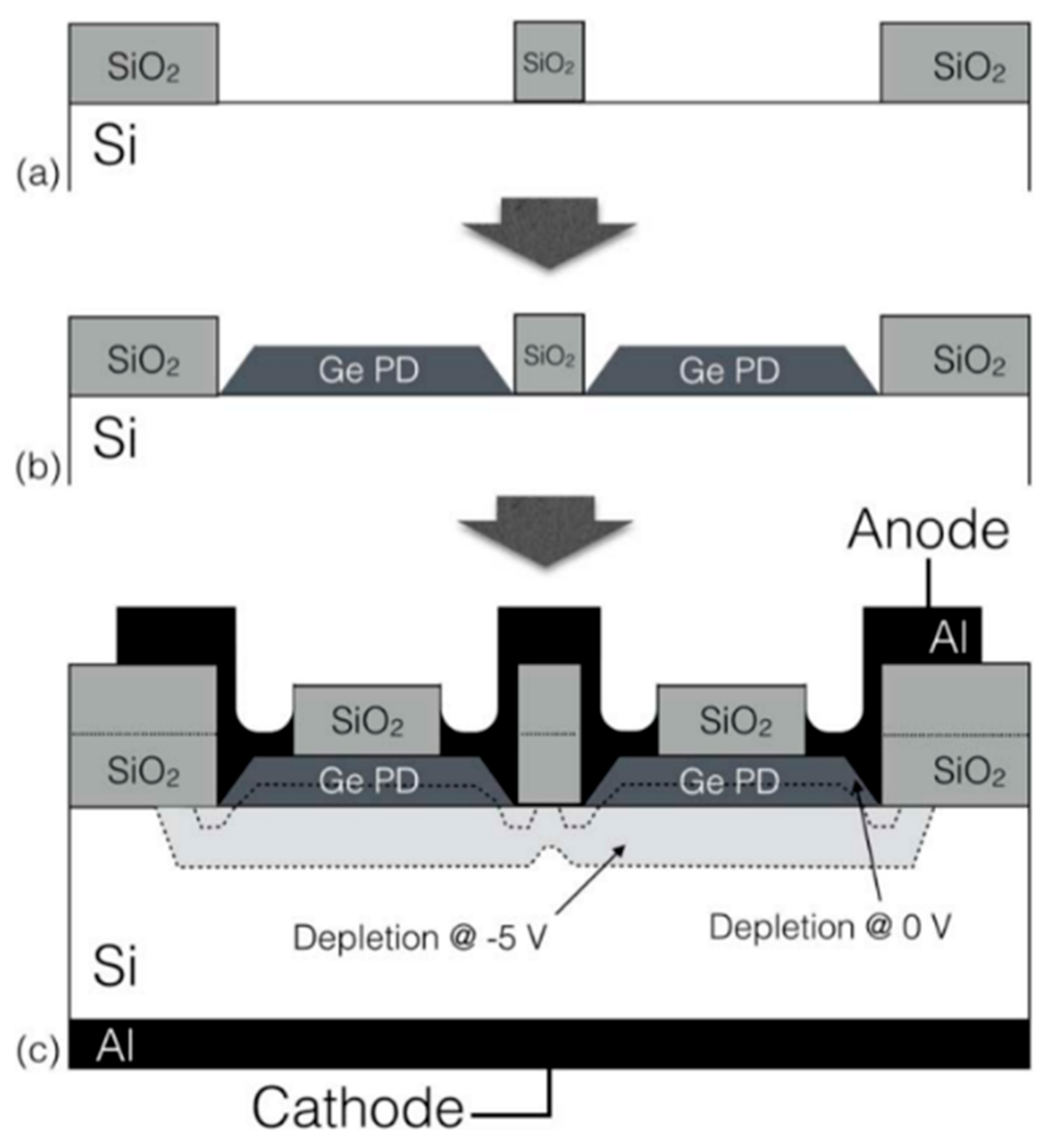 Nanomaterials 13 00606 g049