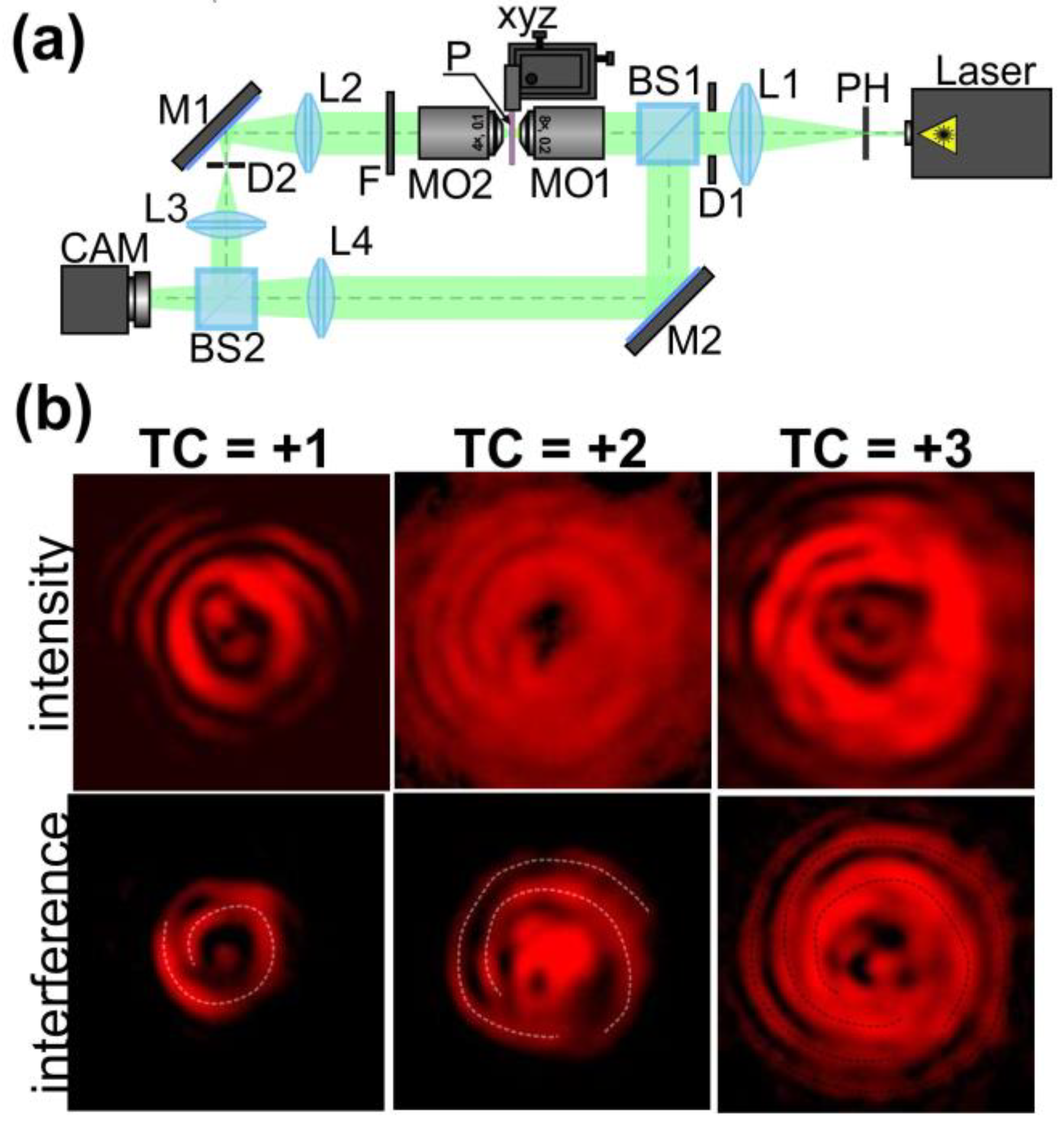 Nanomaterials 13 00612 g005