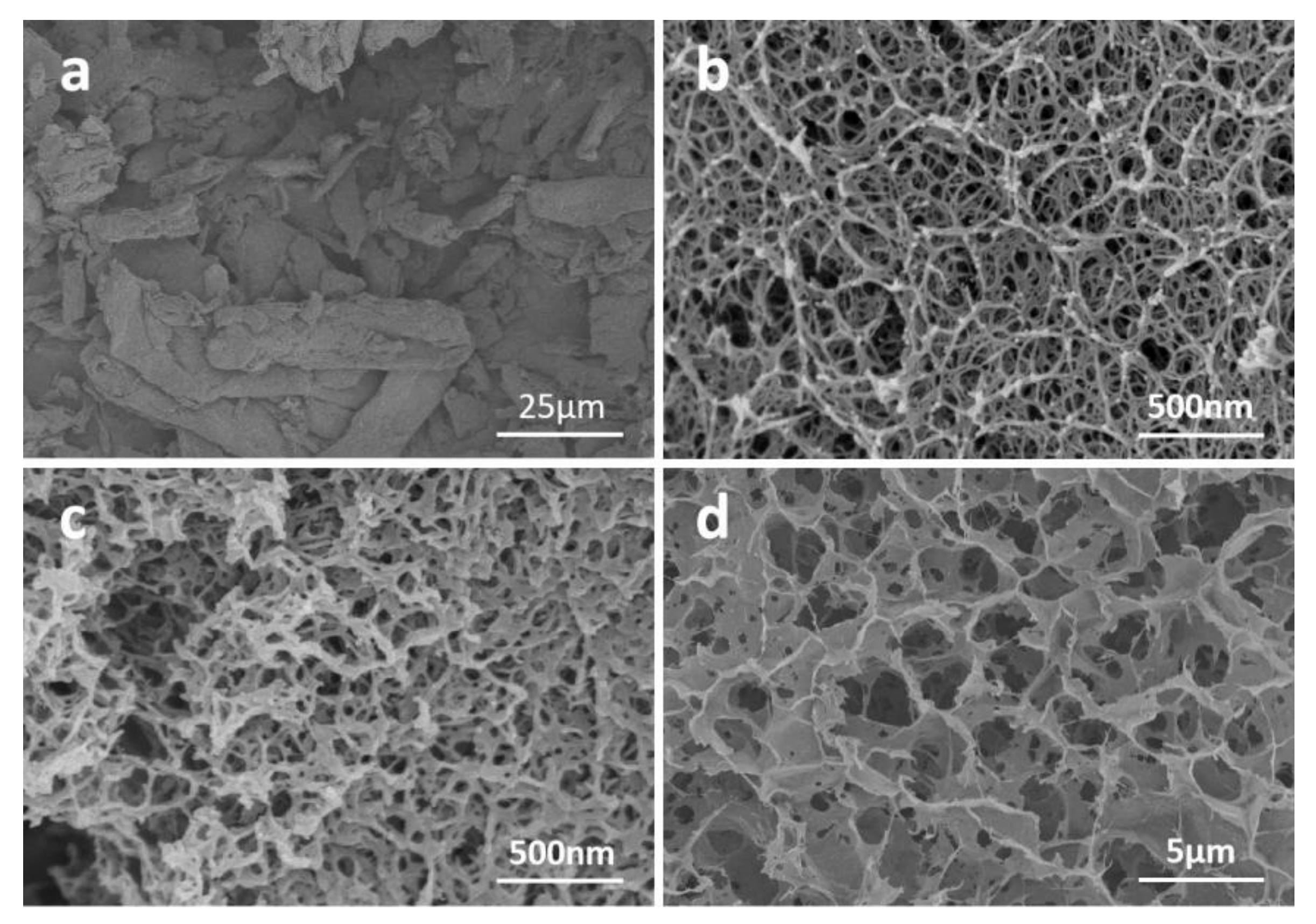 Nanomaterials 13 00613 g006