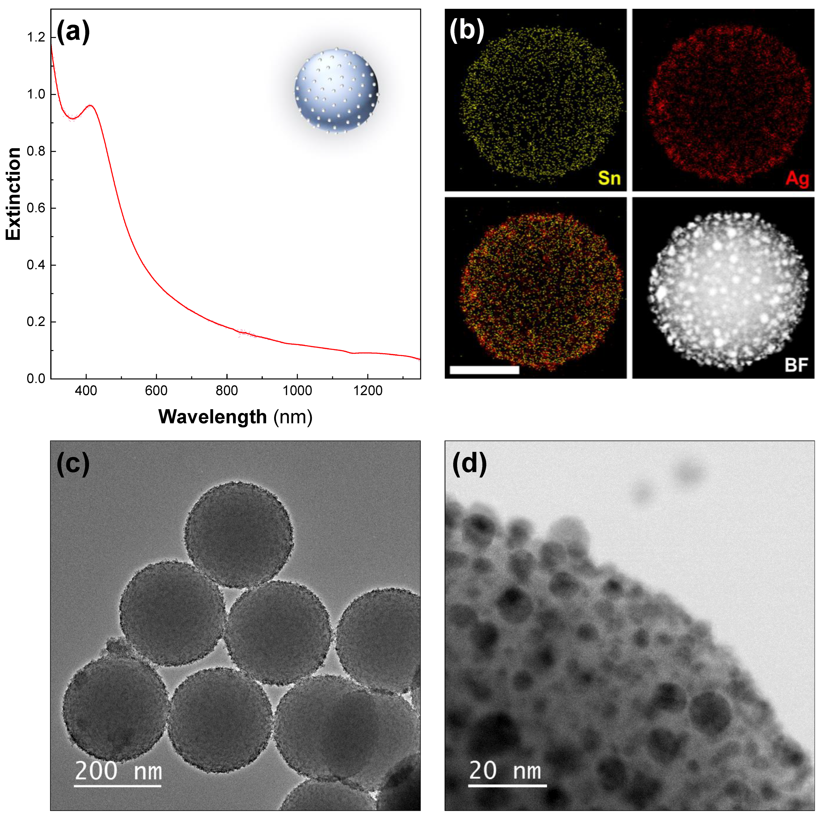 Nanomaterials 13 00614 g001