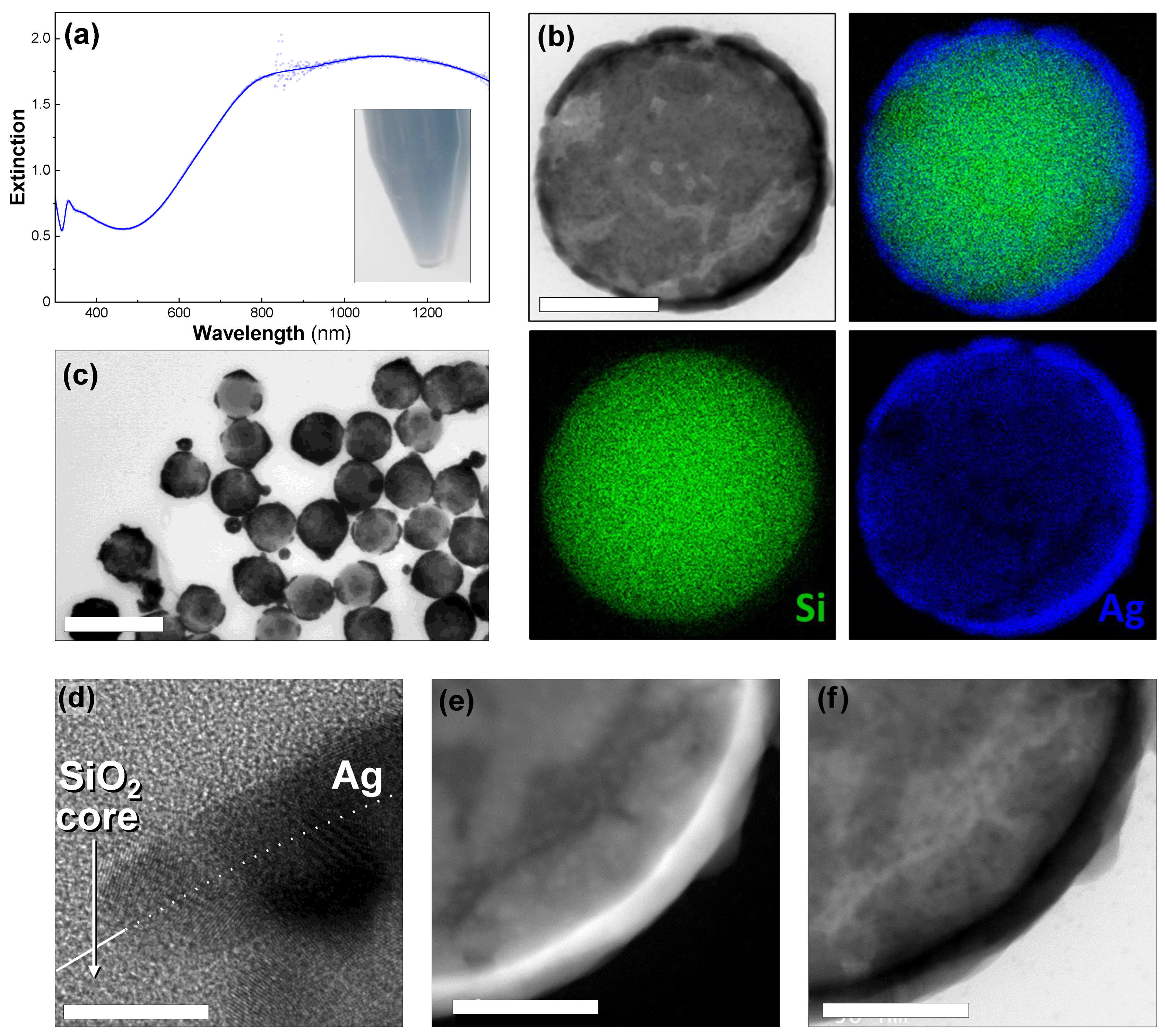 Nanomaterials 13 00614 g002