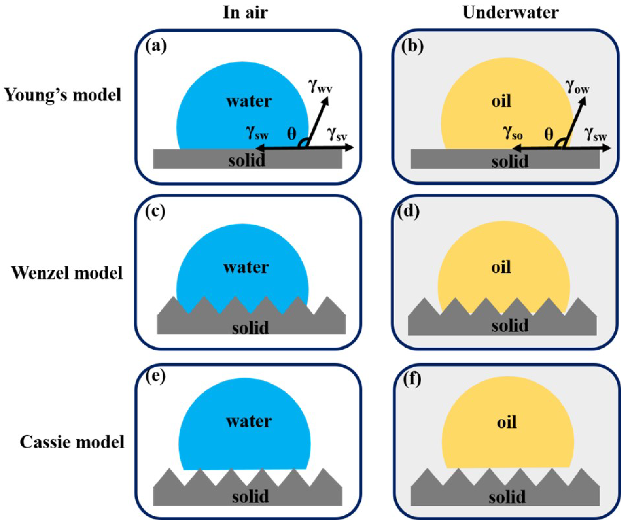 Nanomaterials 13 00620 g002