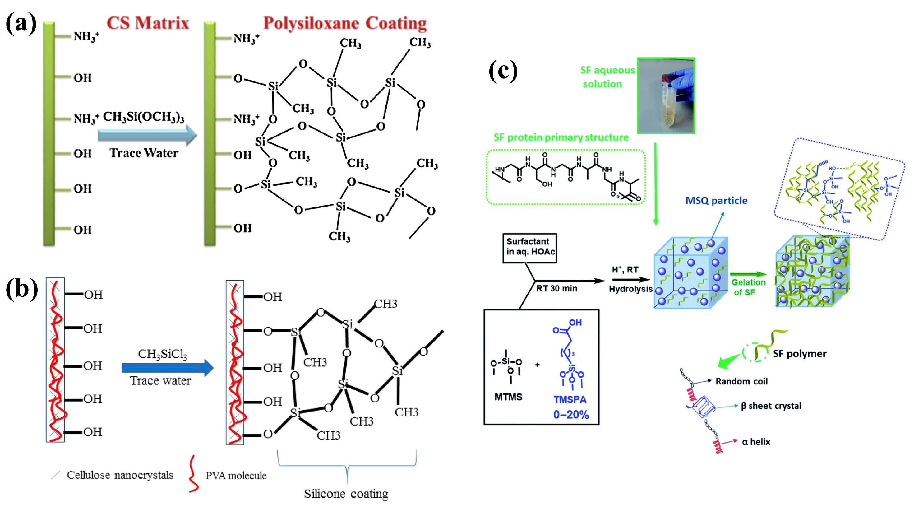 Nanomaterials 13 00620 g005