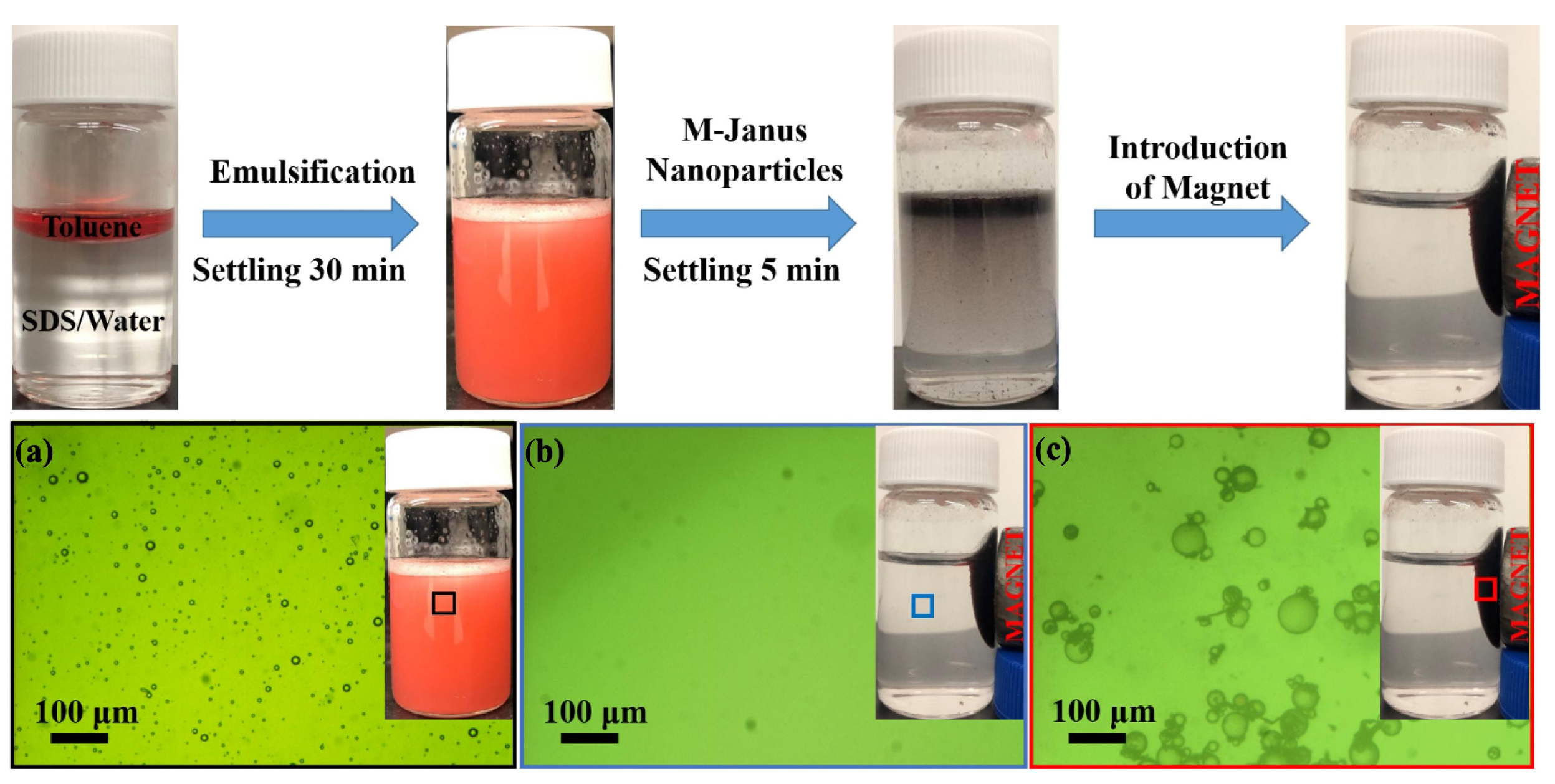 Nanomaterials 13 00620 g007