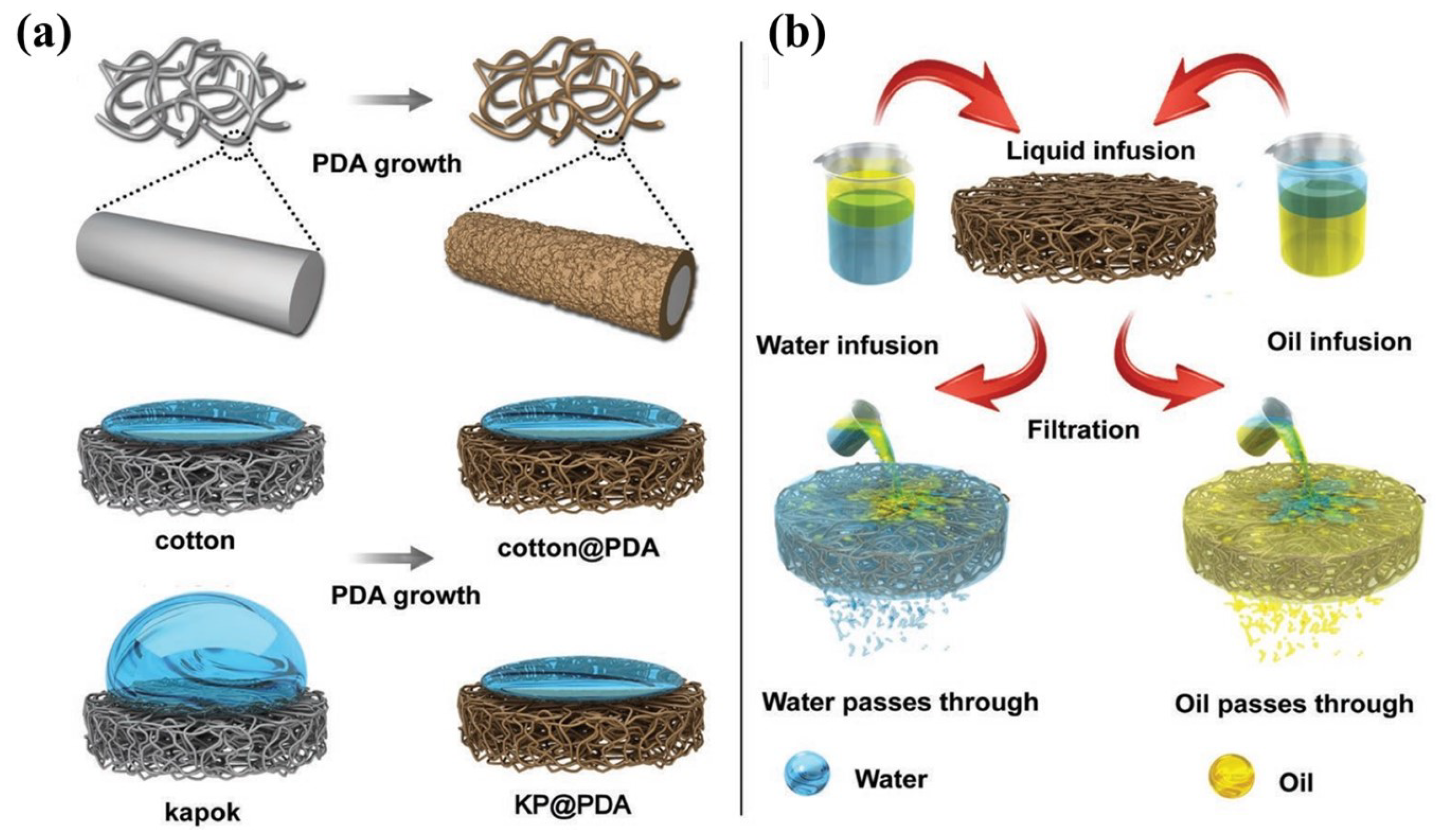 Nanomaterials 13 00620 g014