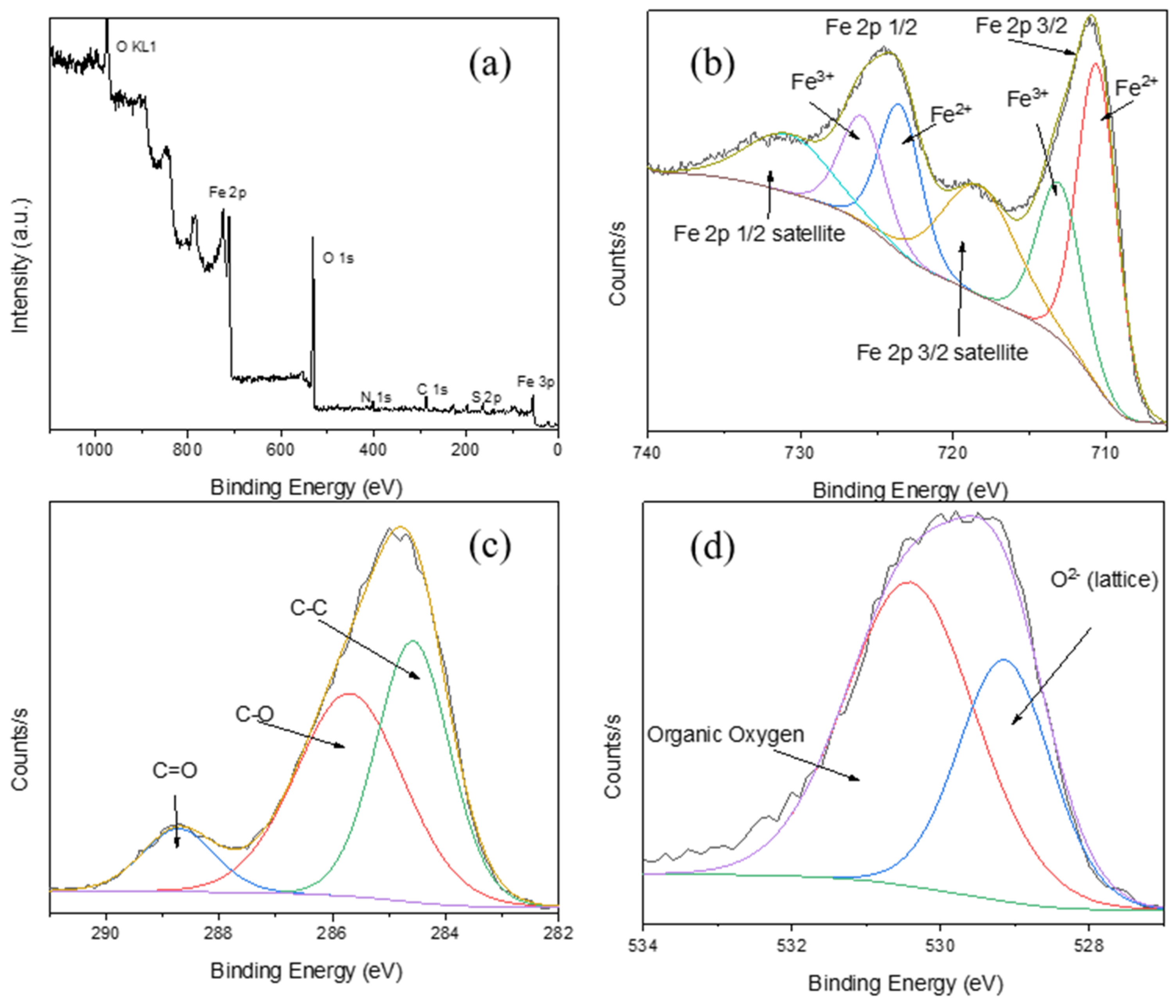 Nanomaterials 13 00621 g003