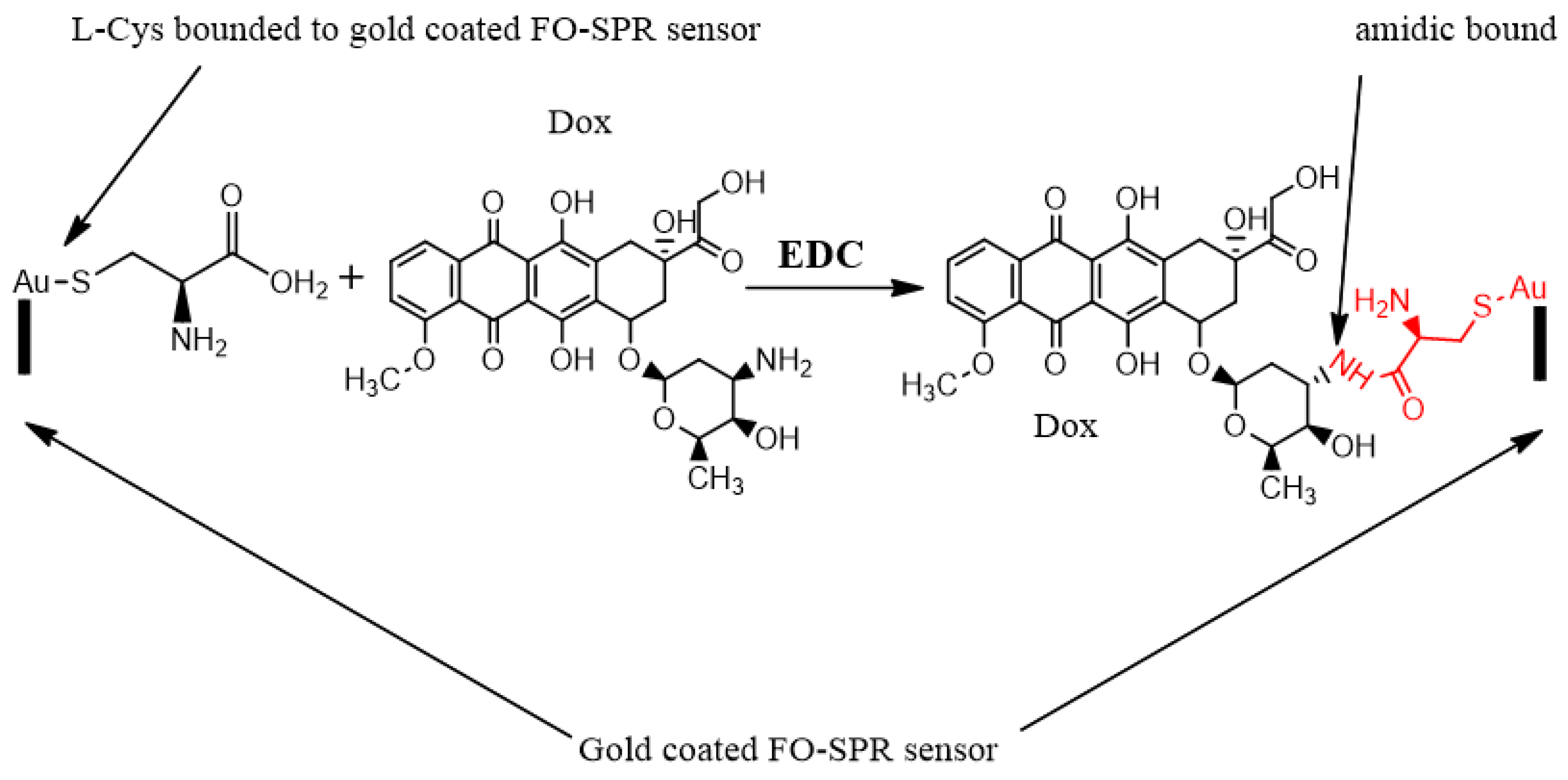 Nanomaterials 13 00621 g007