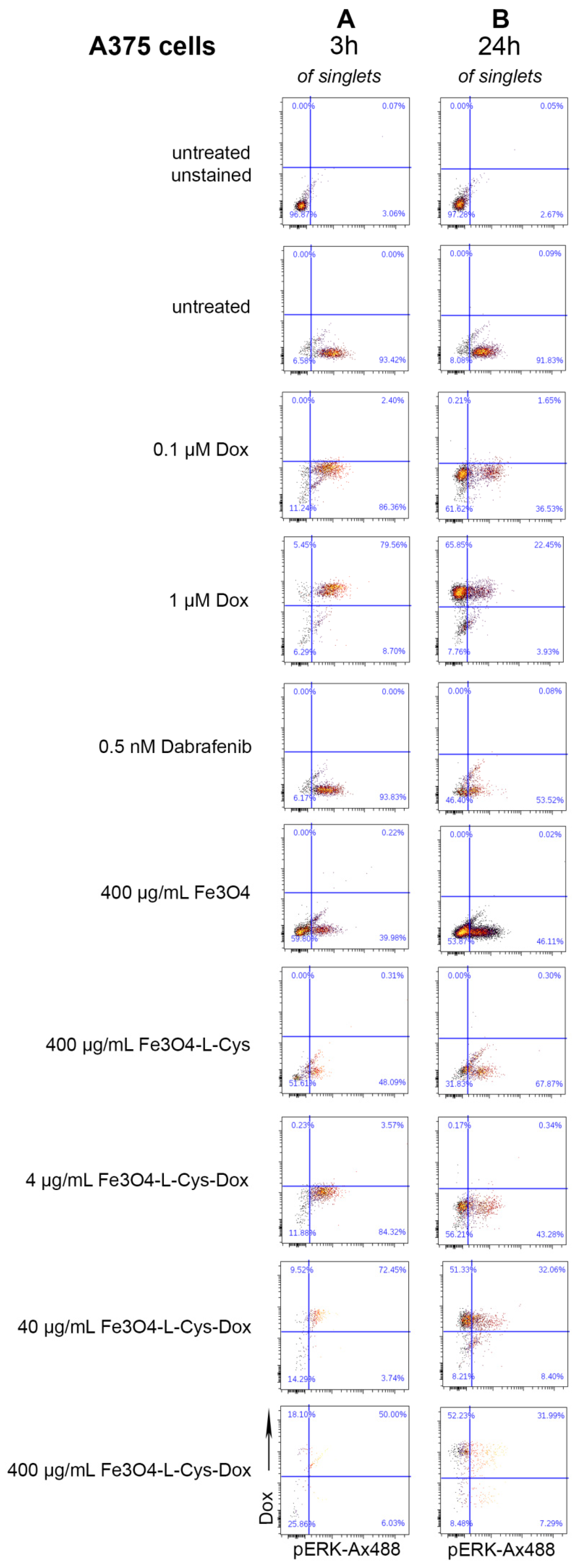 Nanomaterials 13 00621 g013