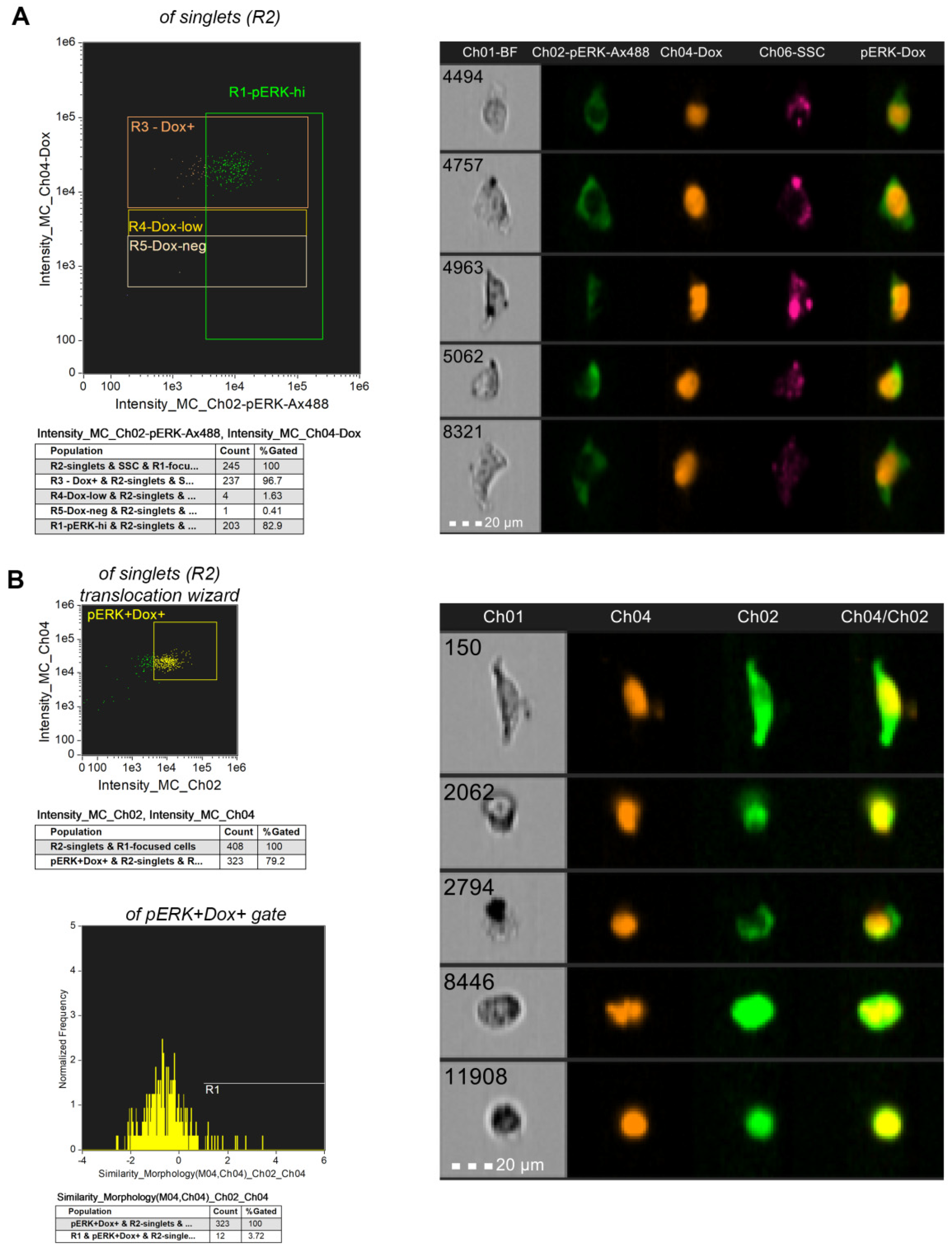 Nanomaterials 13 00621 g014