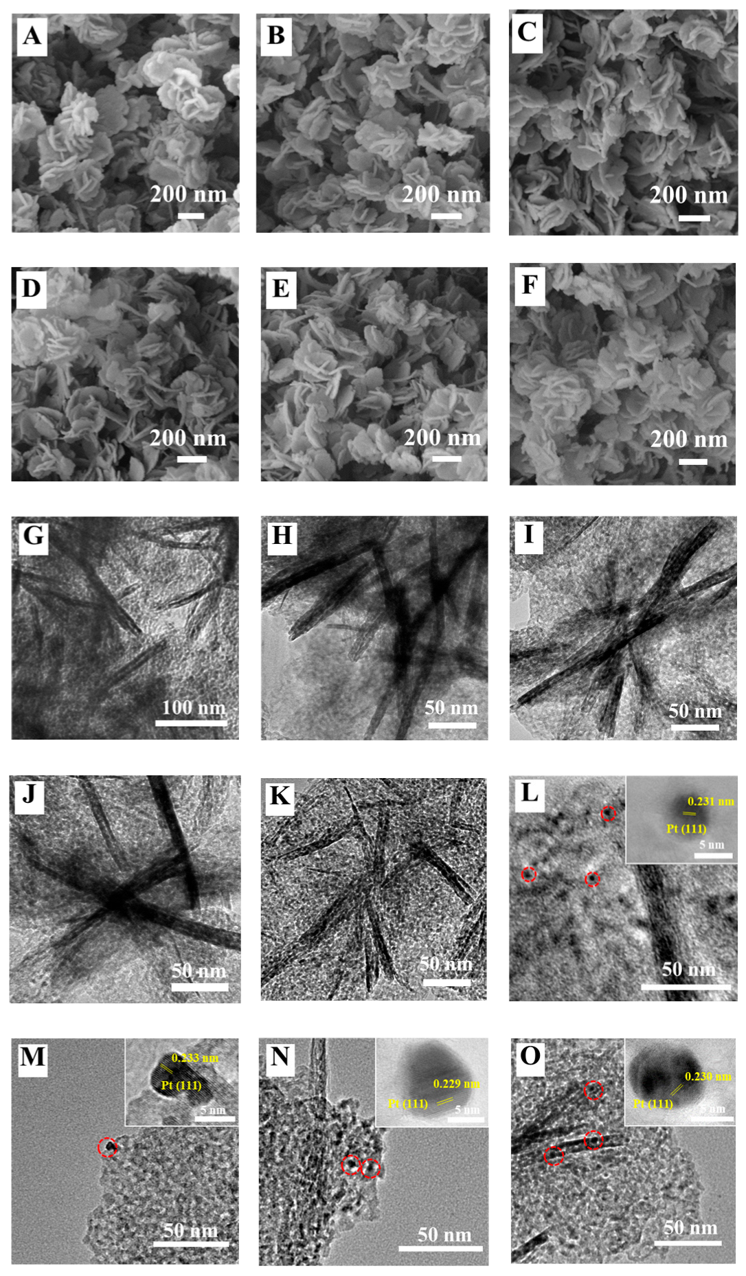 Nanomaterials 13 00623 g005