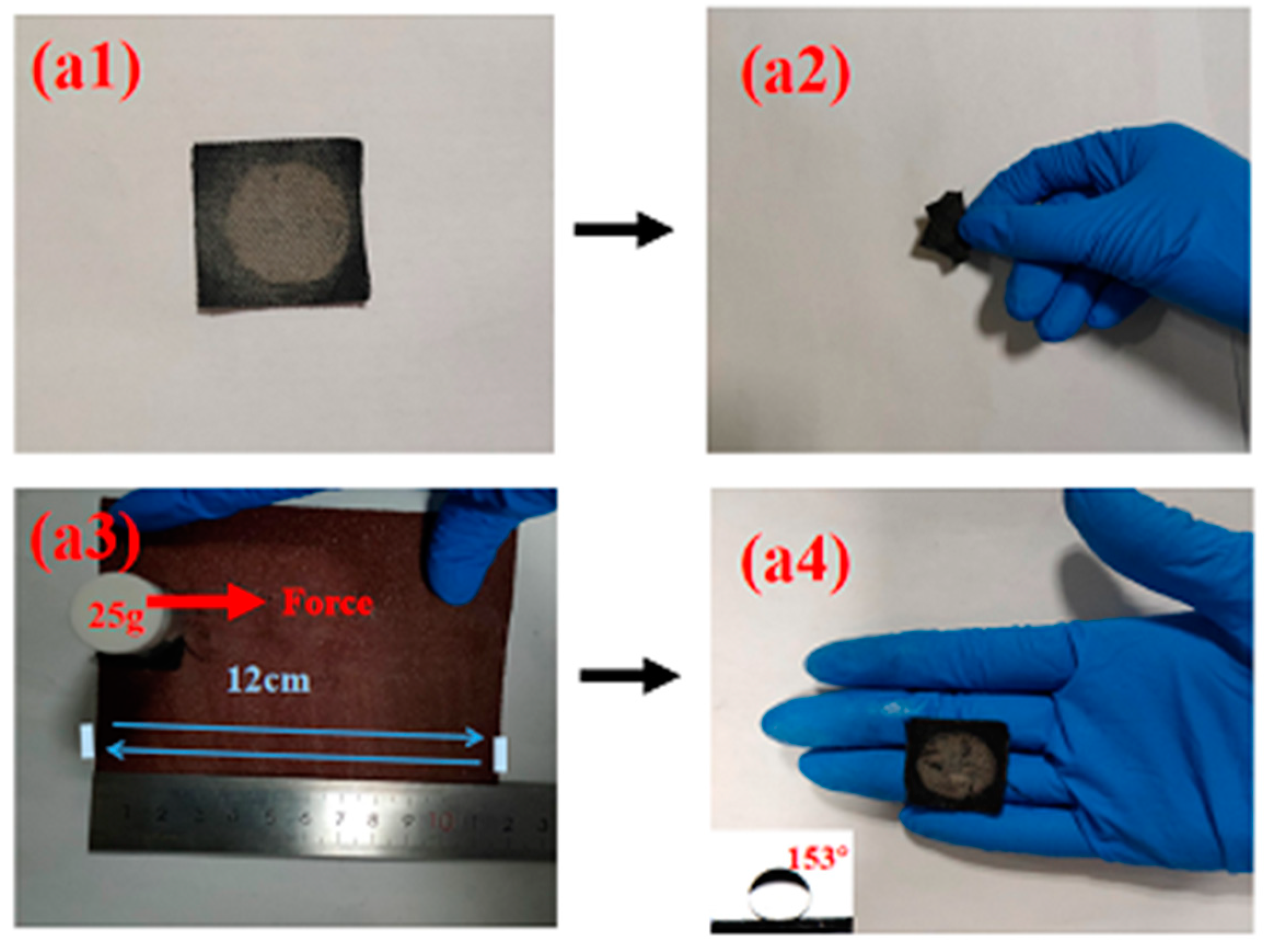 Nanomaterials 13 00624 g012 Nanomaterials 13 00624 g012