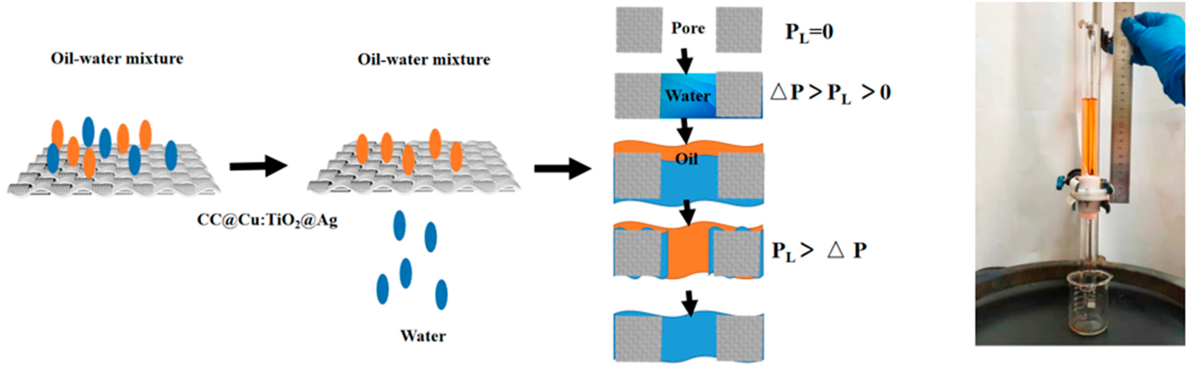 Nanomaterials 13 00624 g013 Nanomaterials 13 00624 g013