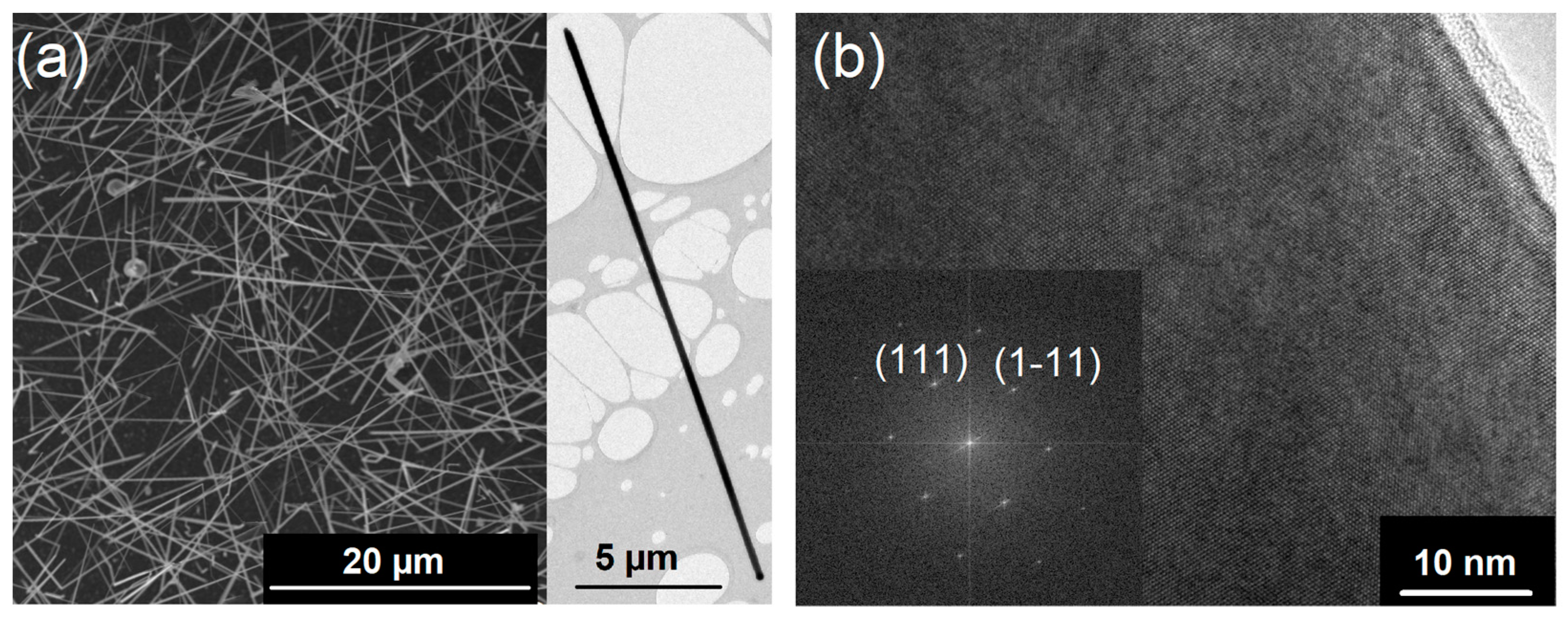 Nanomaterials 13 00627 g001