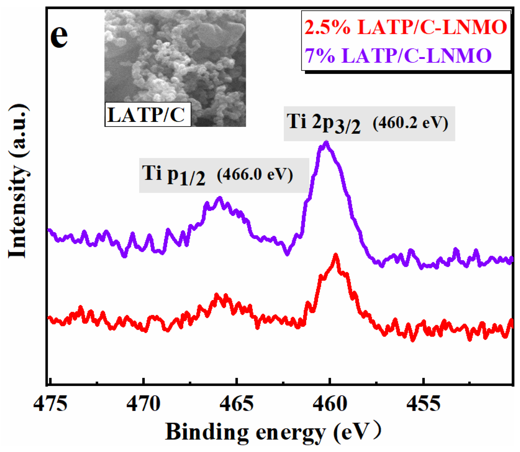 Nanomaterials 13 00628 g003b