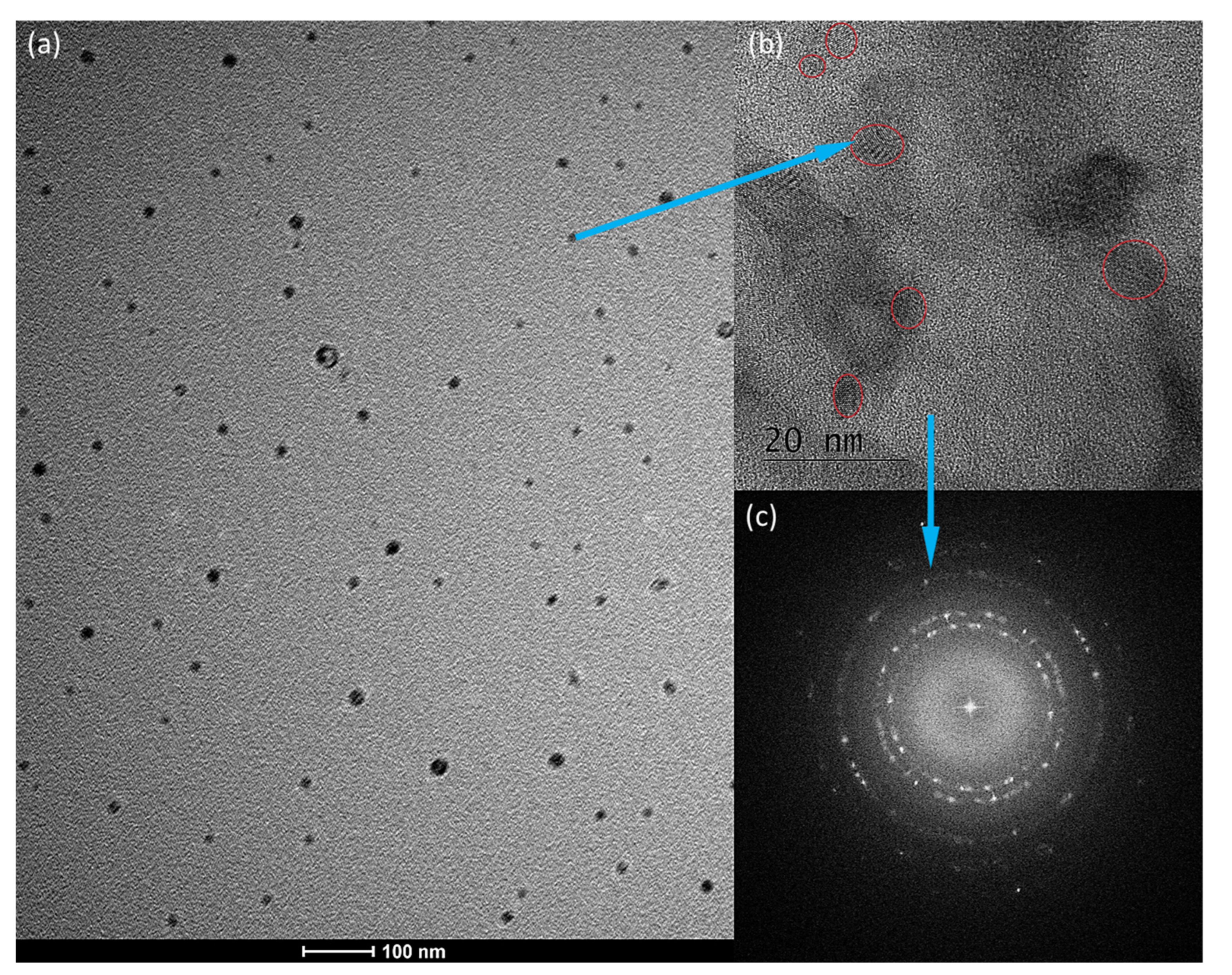 Nanomaterials 13 00630 g001