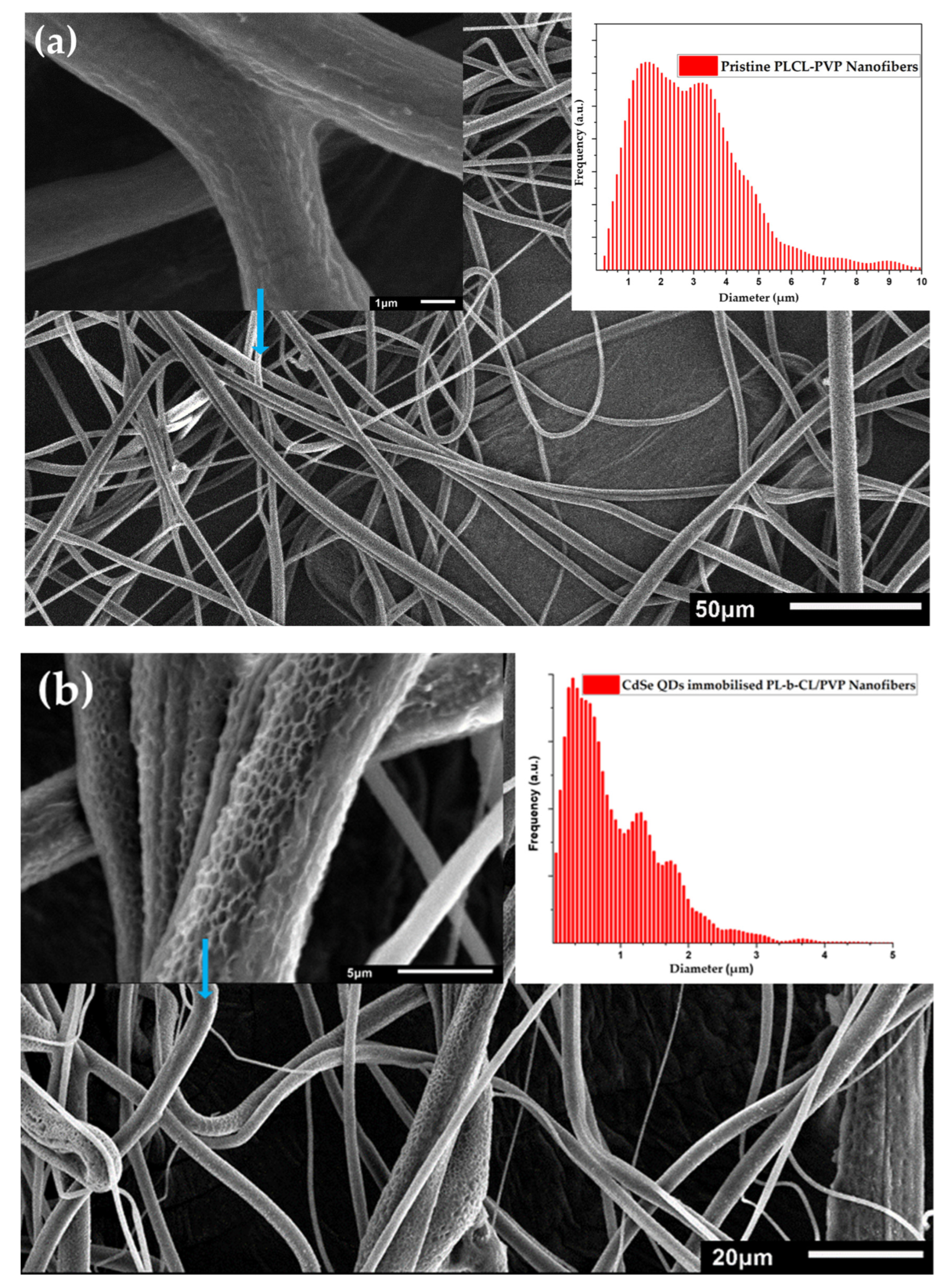 Nanomaterials 13 00630 g004