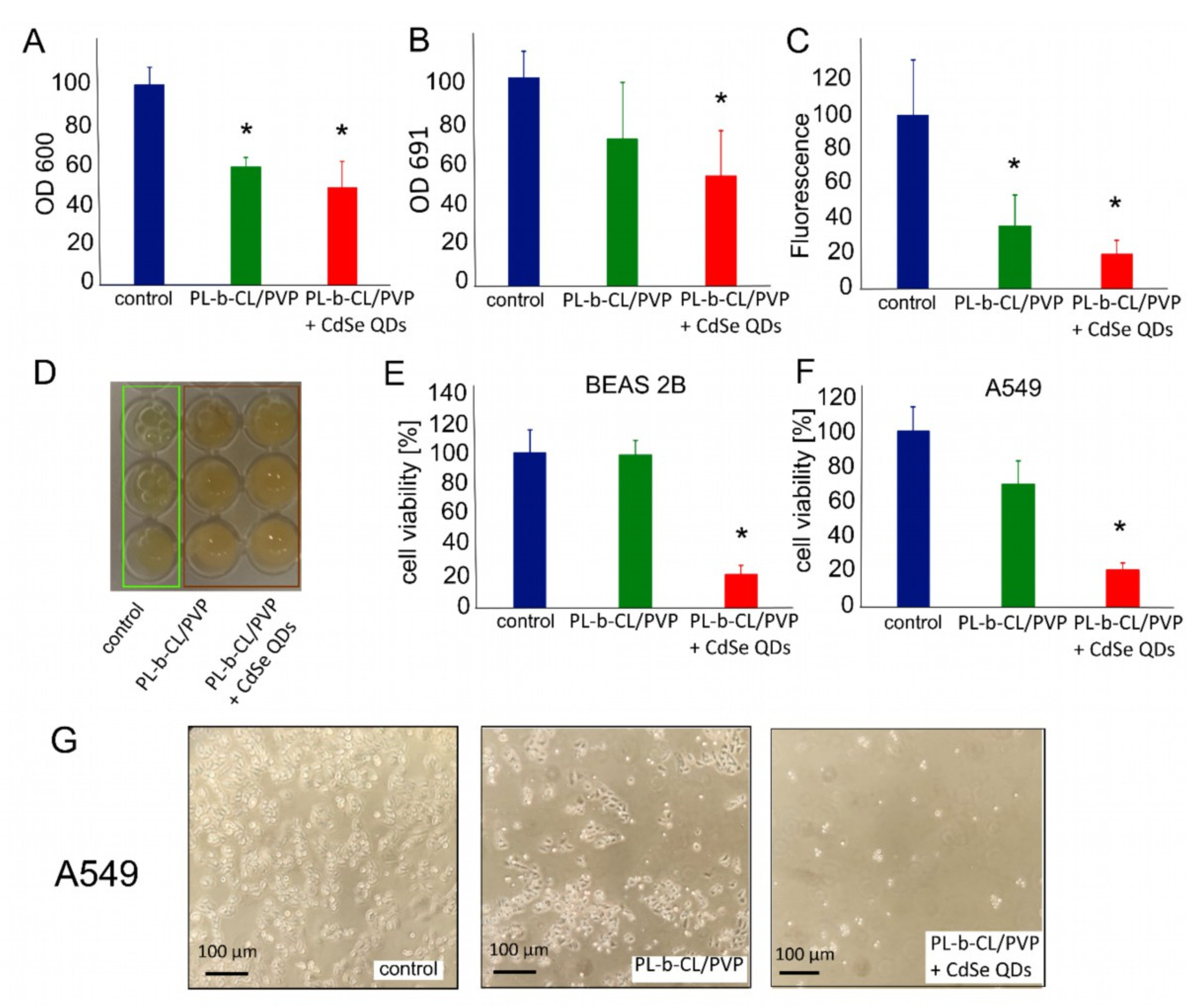 Nanomaterials 13 00630 g008