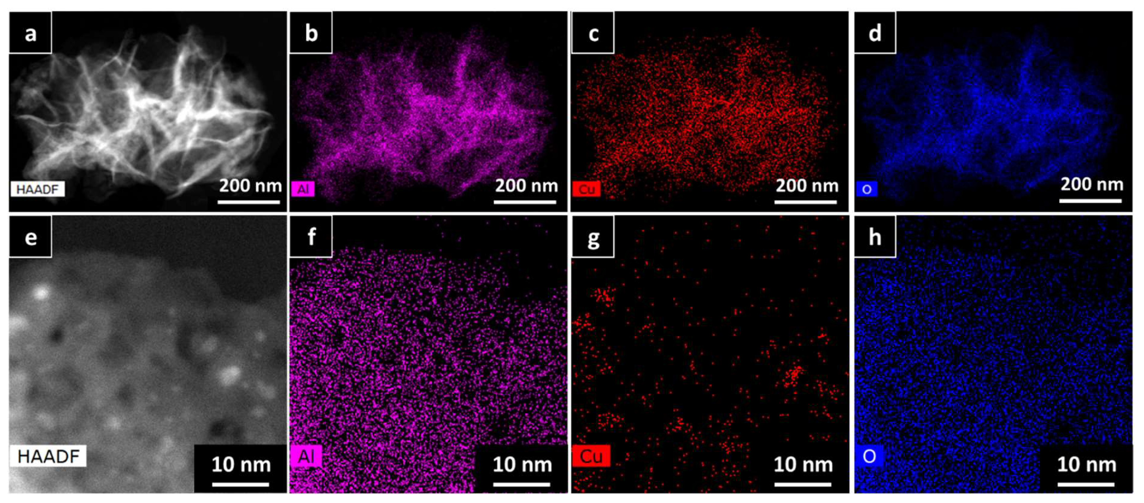 Nanomaterials 13 00635 g003