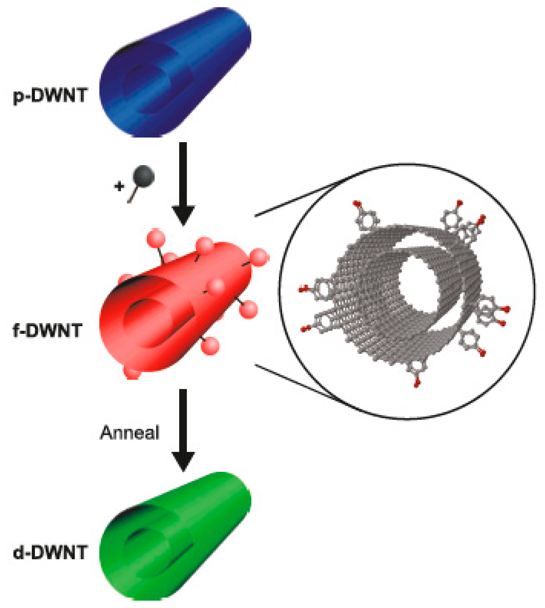 Nanomaterials 13 00640 g010