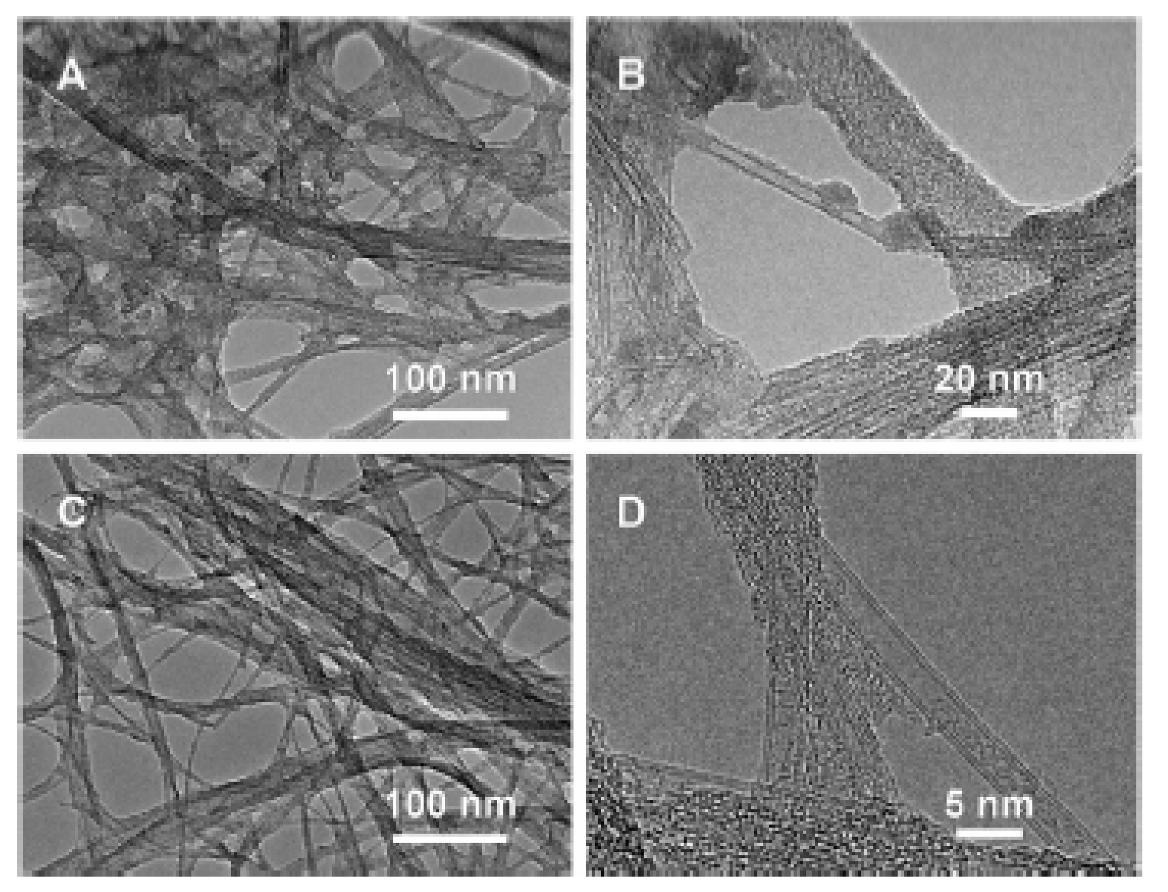 Nanomaterials 13 00640 g011