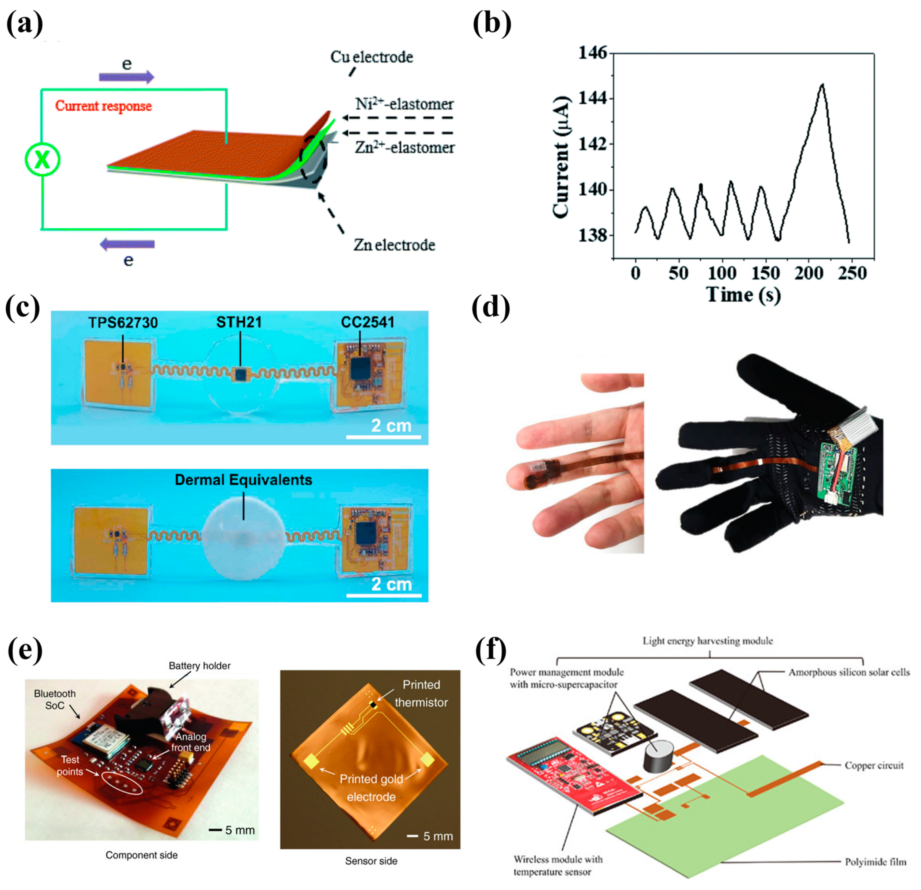 Nanomaterials 13 00645 g006