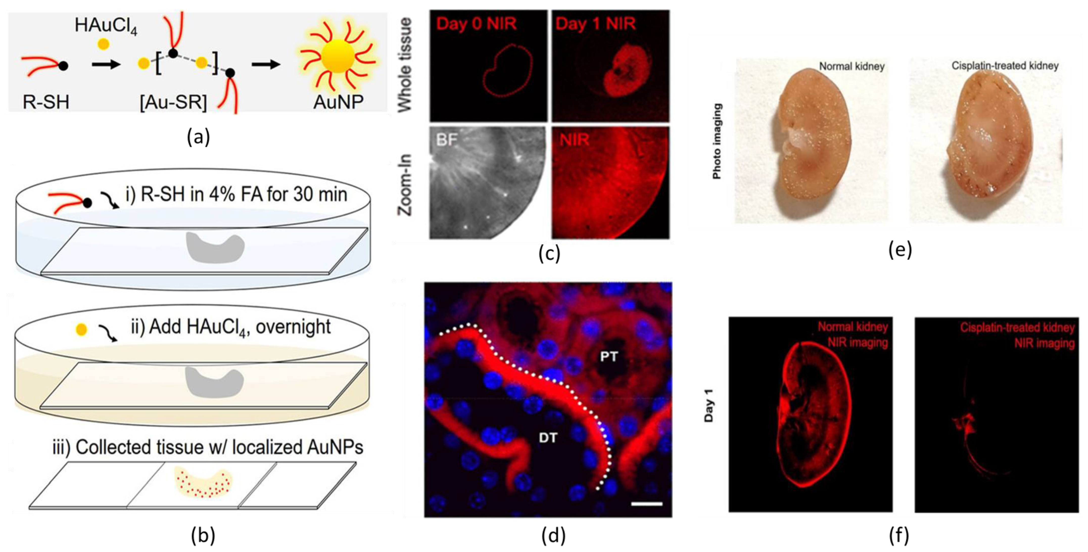 Nanomaterials 13 00648 g002