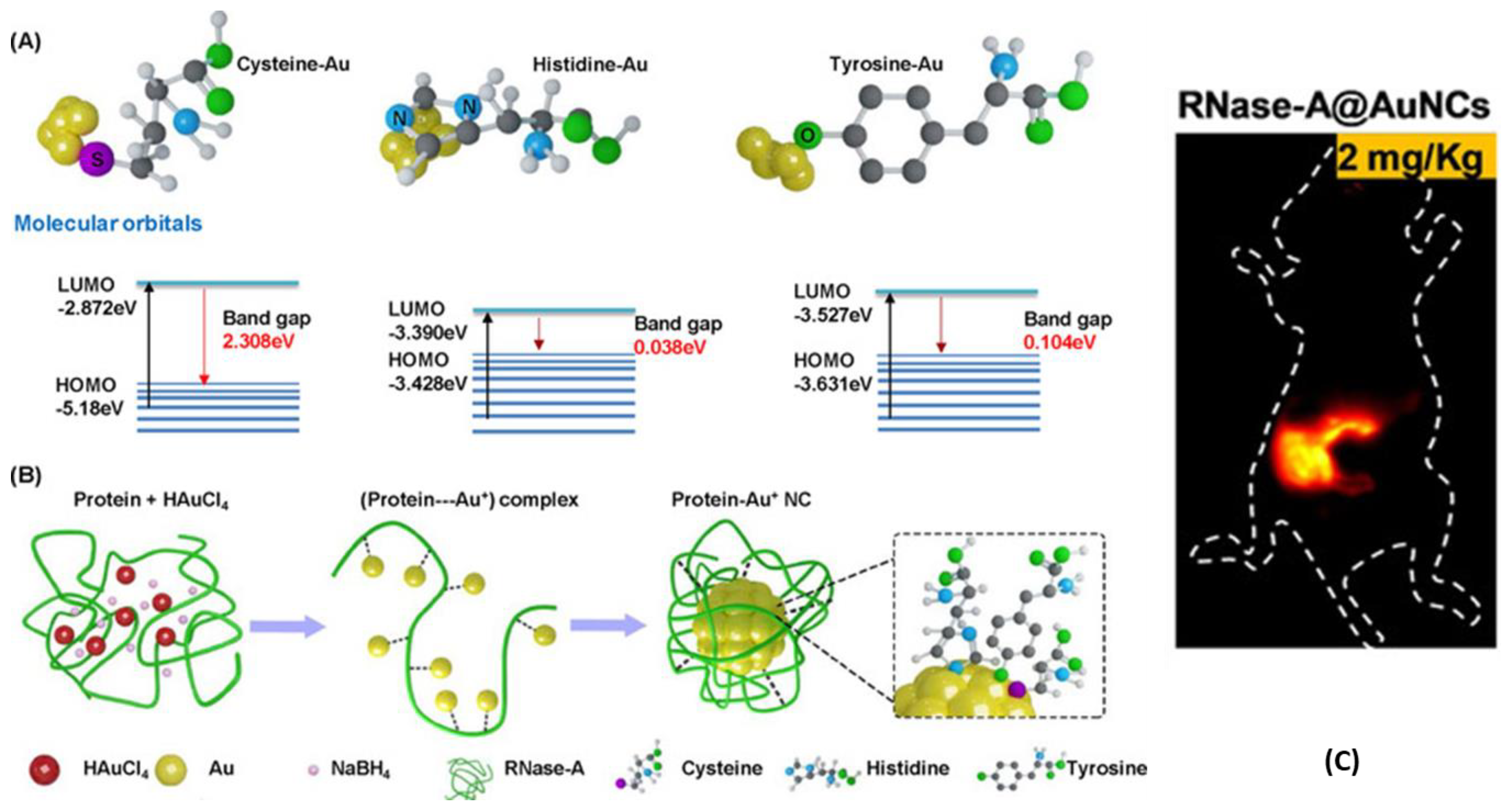 Nanomaterials 13 00648 g004