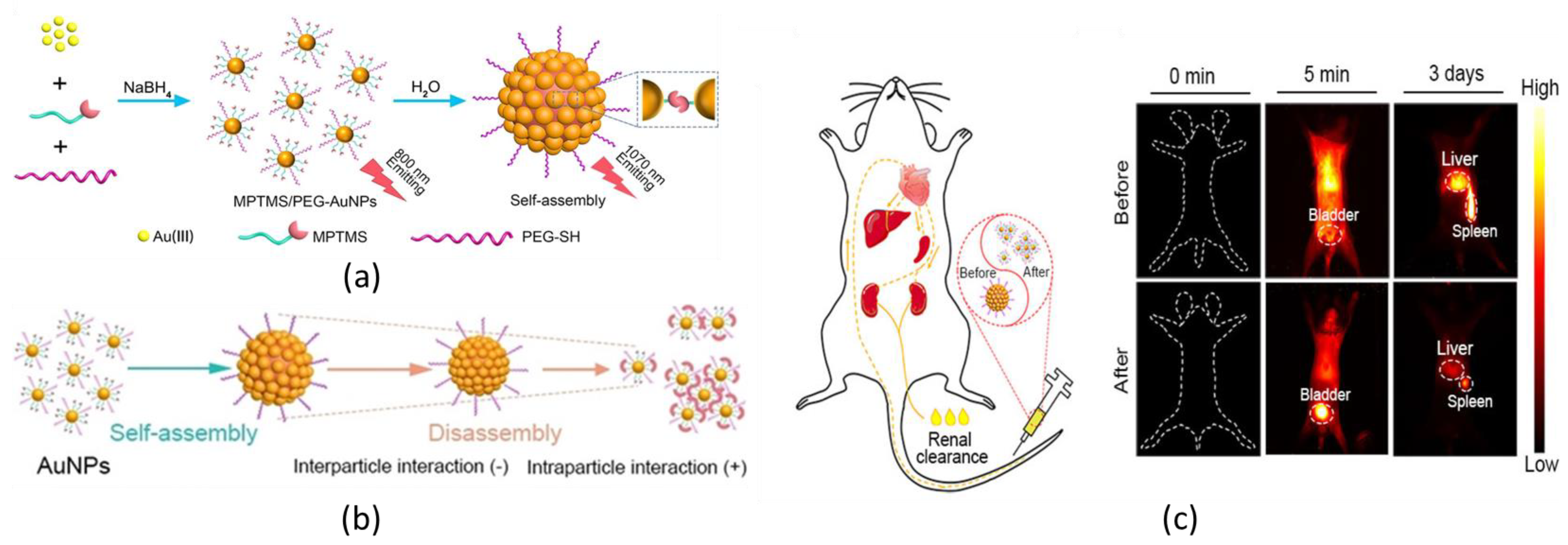 Nanomaterials 13 00648 g006